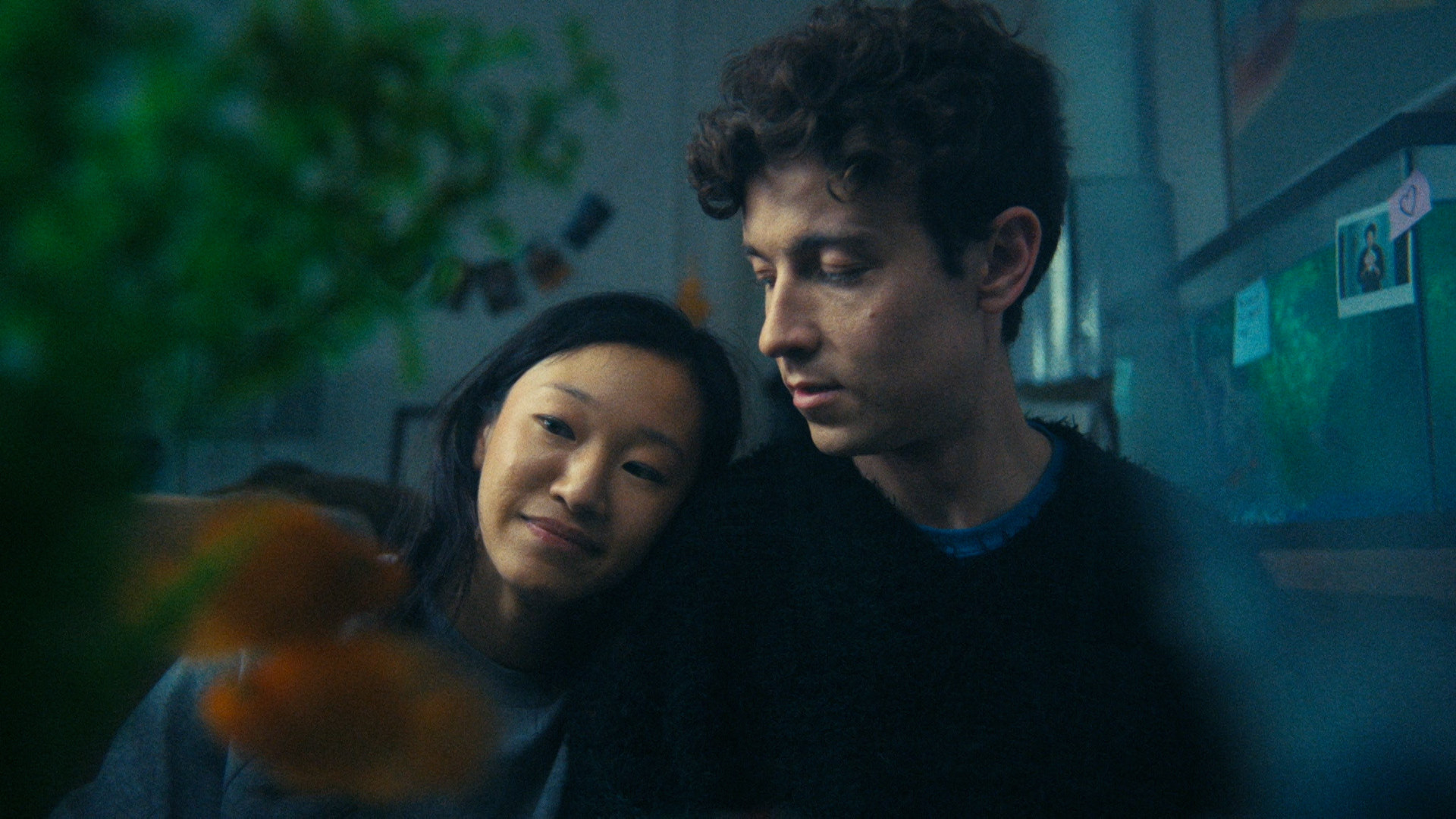 Backdrop for Fishtank