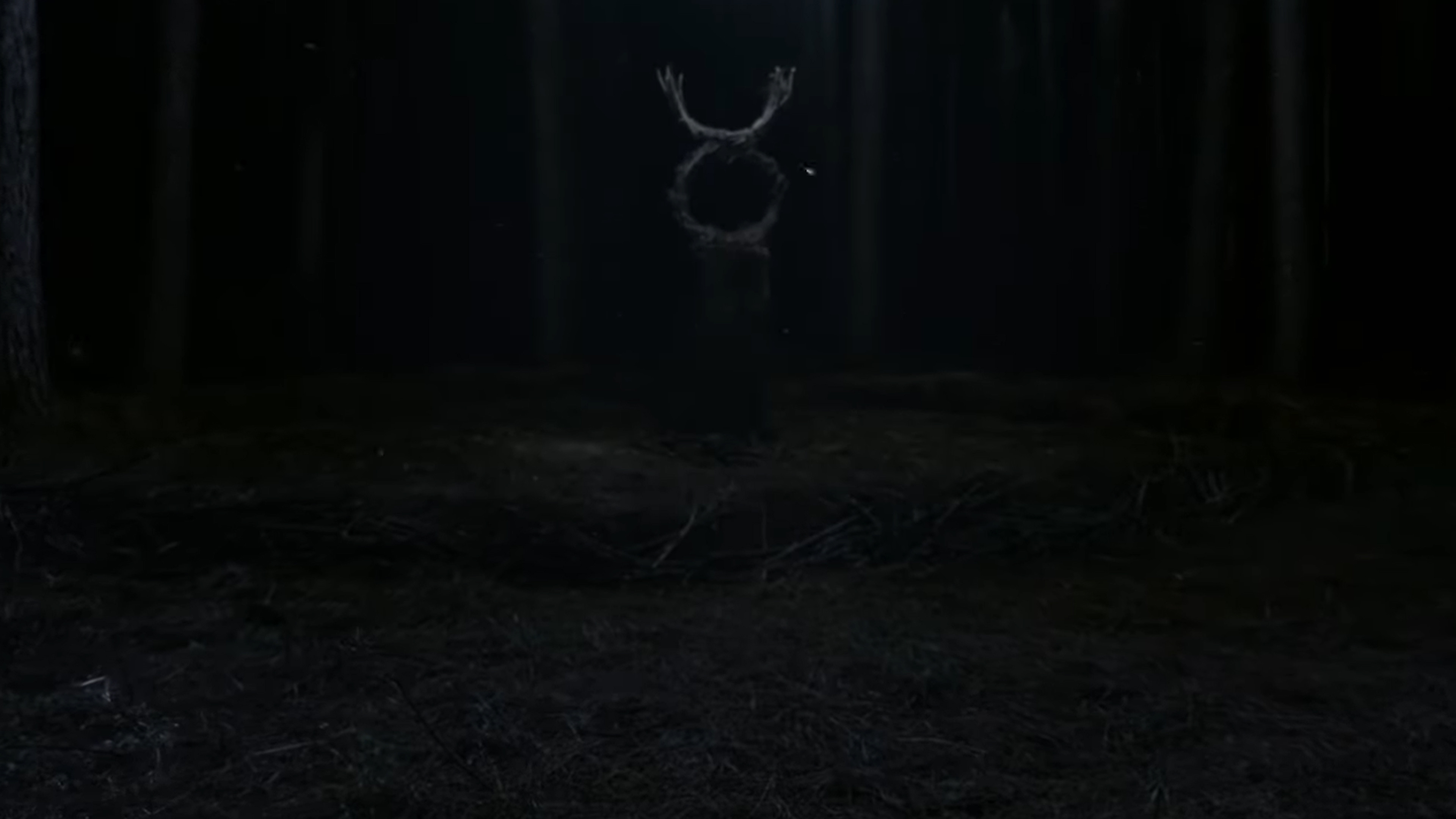 Backdrop for Desde Adentro