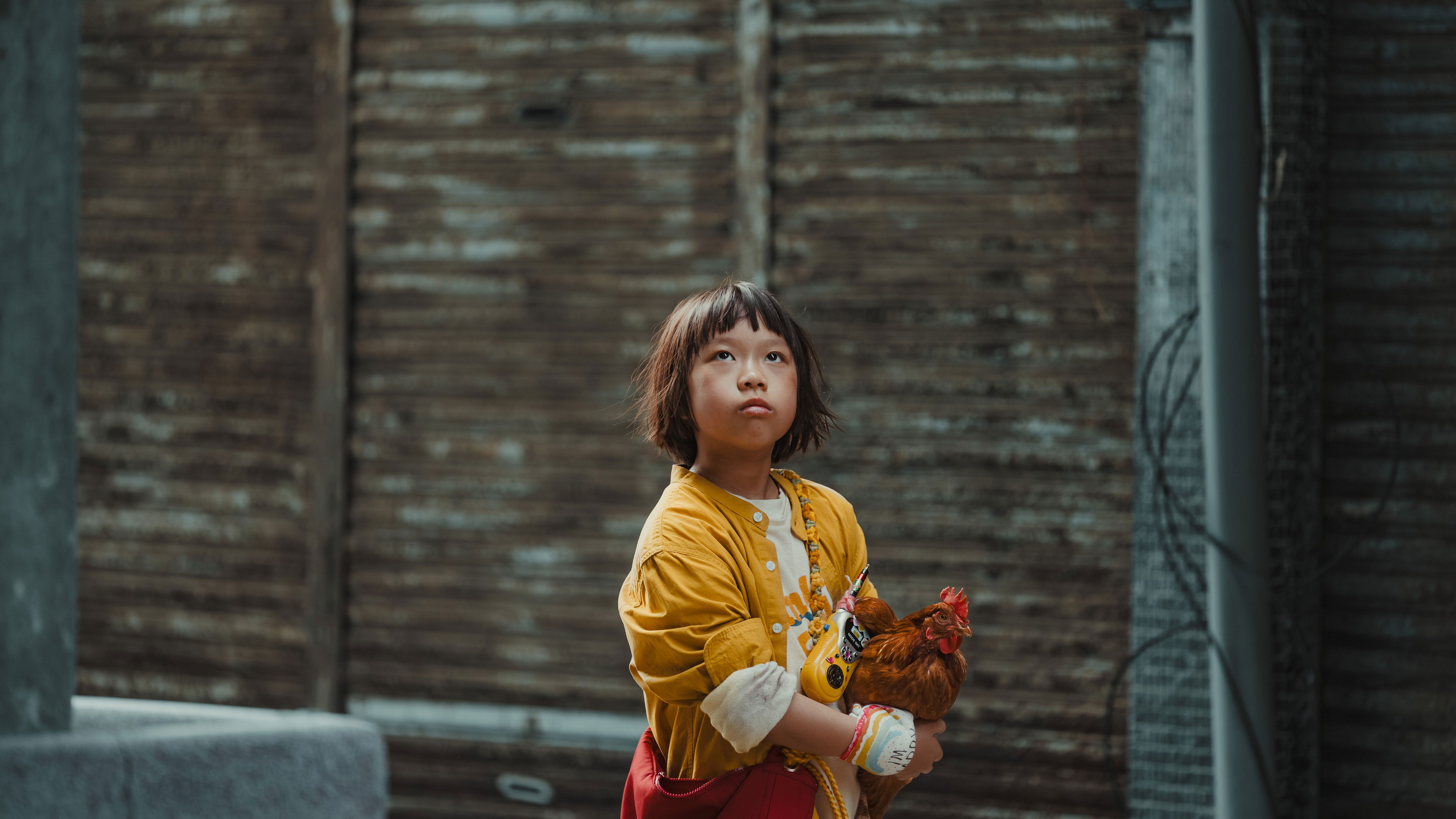 Backdrop for How to Kill a Chicken