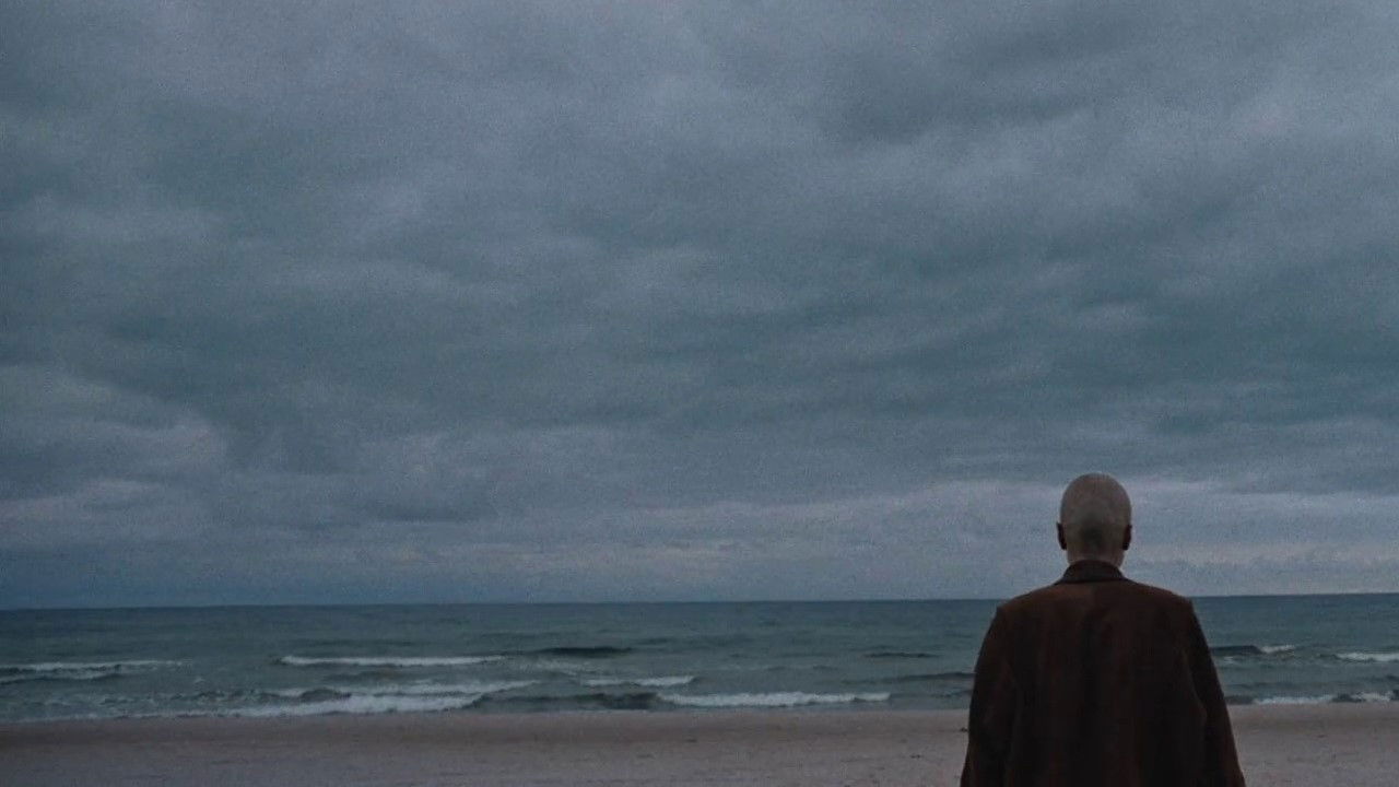 Backdrop for First Last Summer