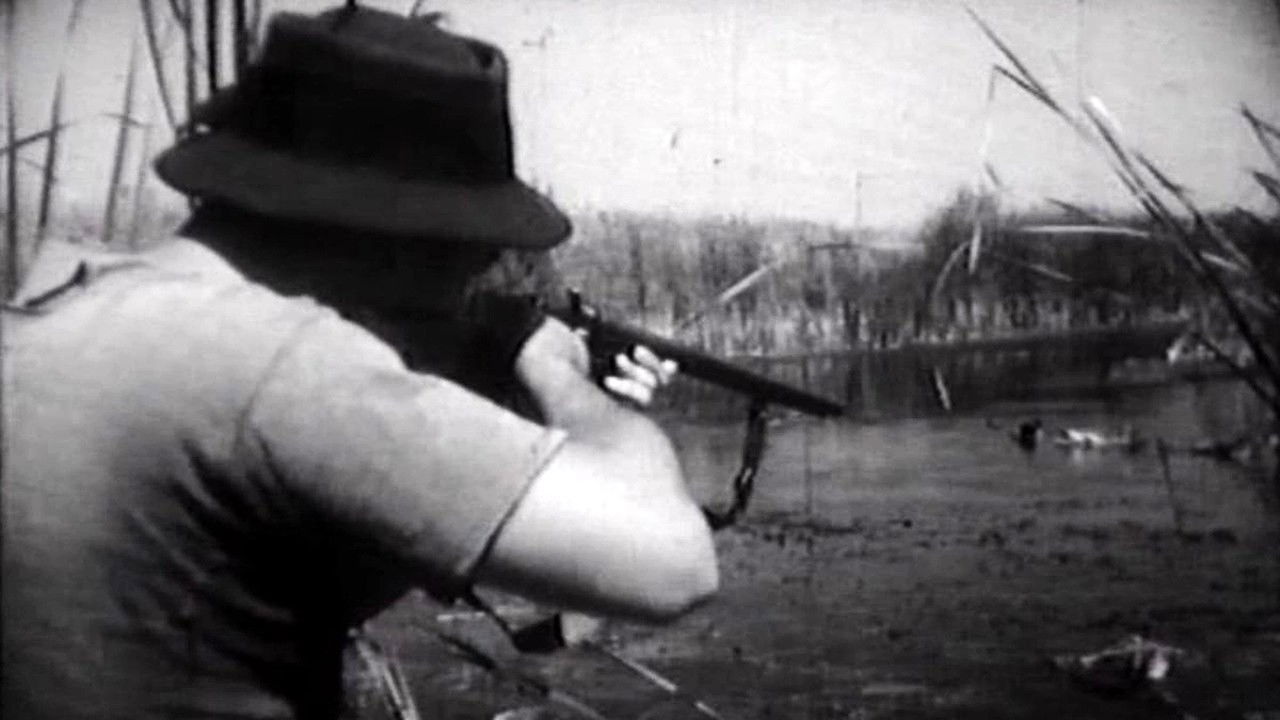 Backdrop for Flight Above the Marshes