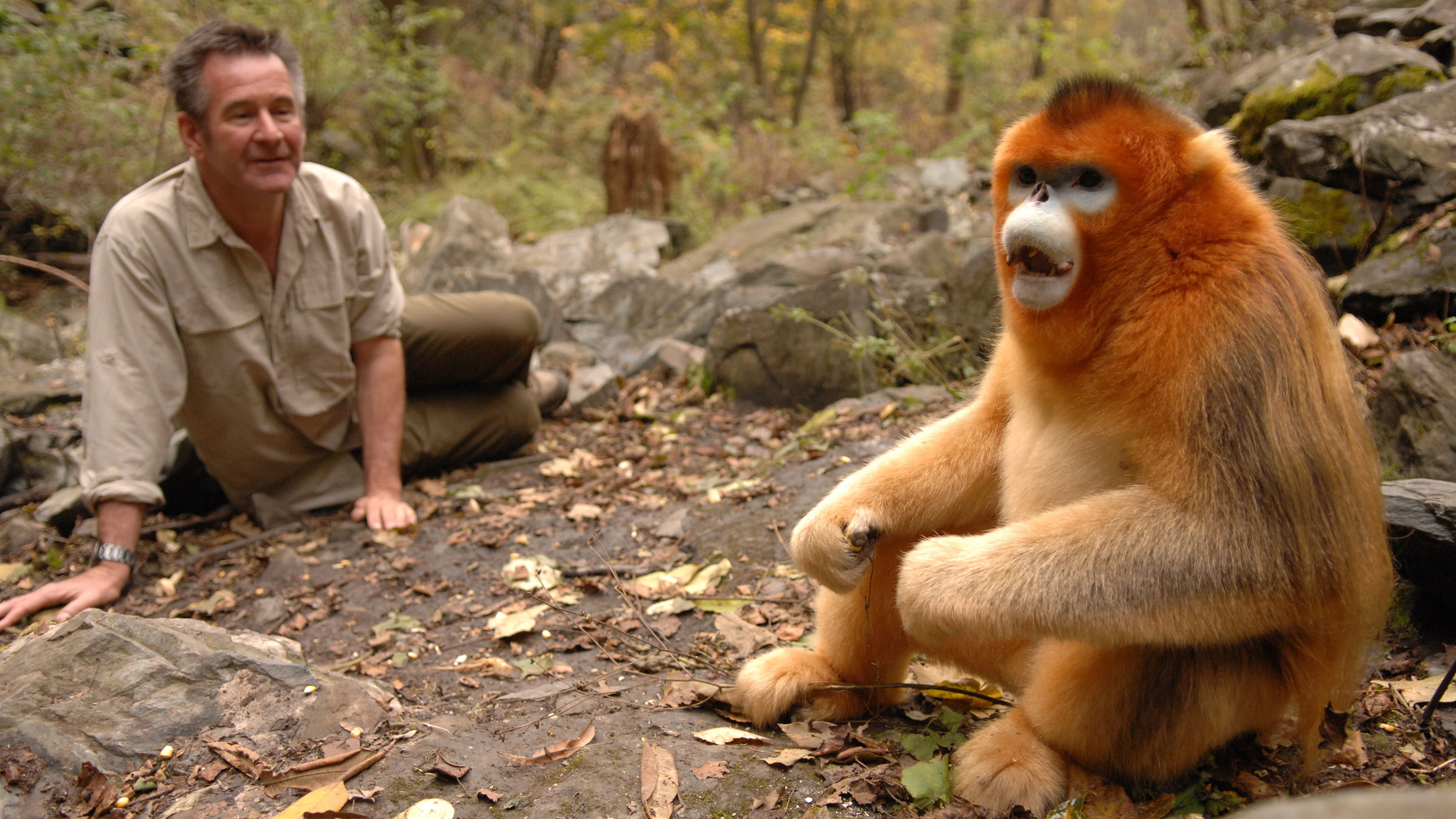Backdrop for Untamed China