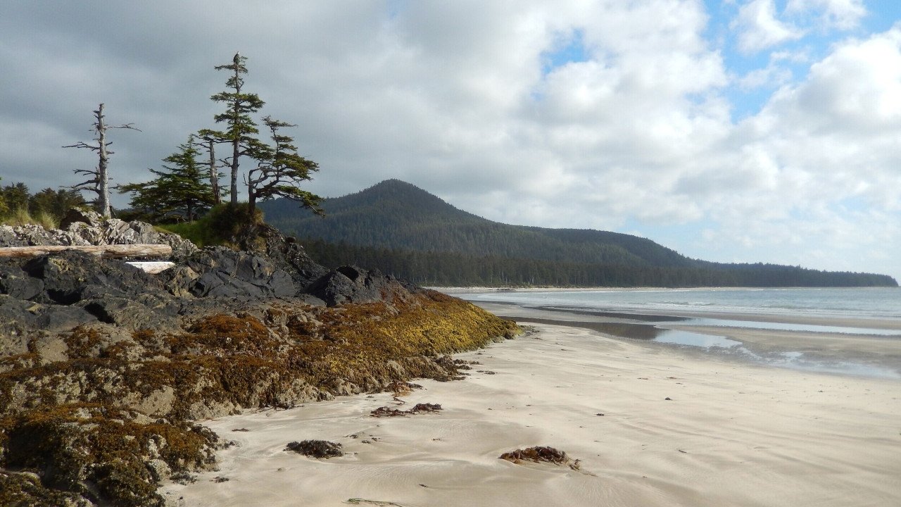 Backdrop for Haida Gwaii: On the Edge of the World