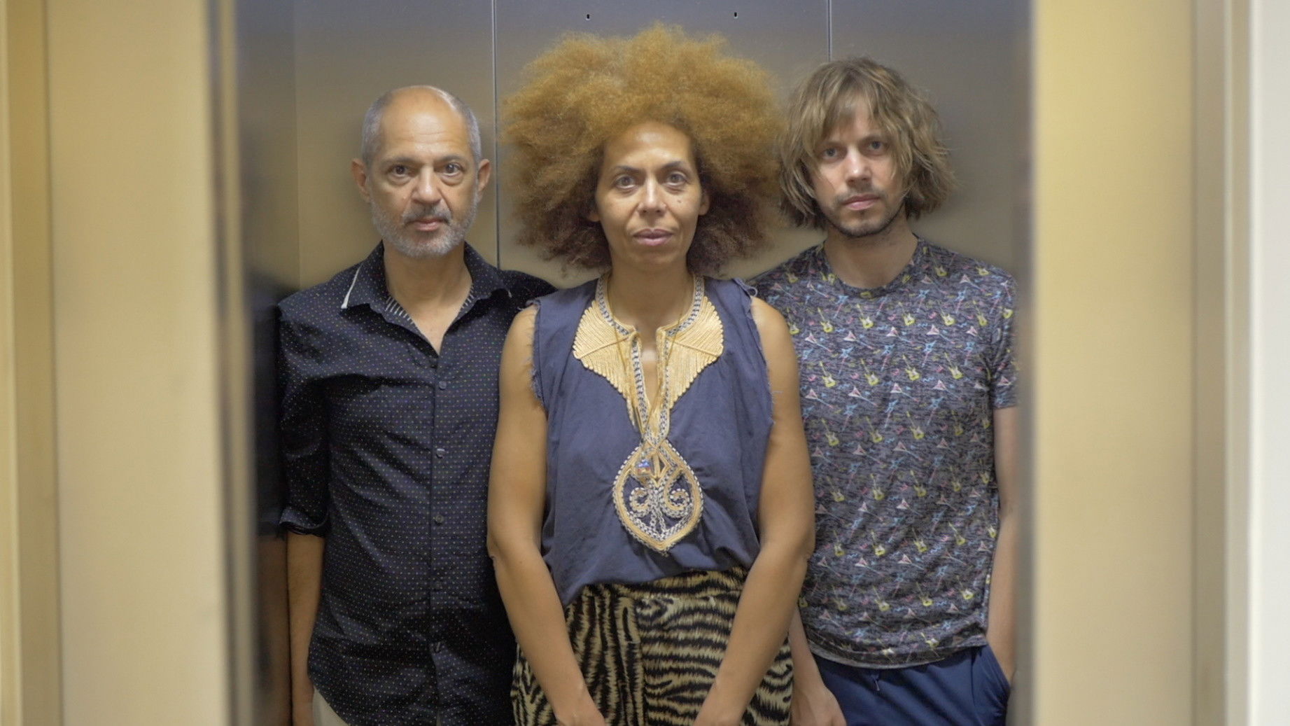 Backdrop for The Trees Were Spelling Love Backwards