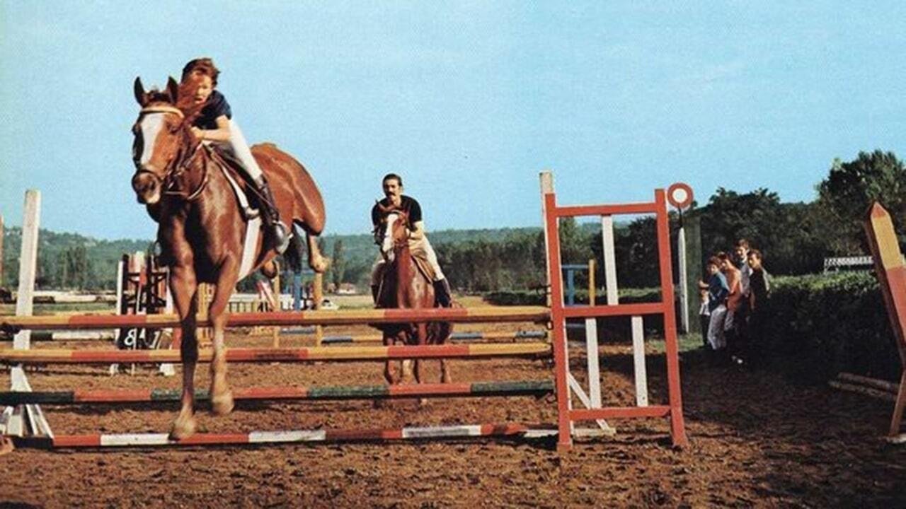 Backdrop for The Last Race