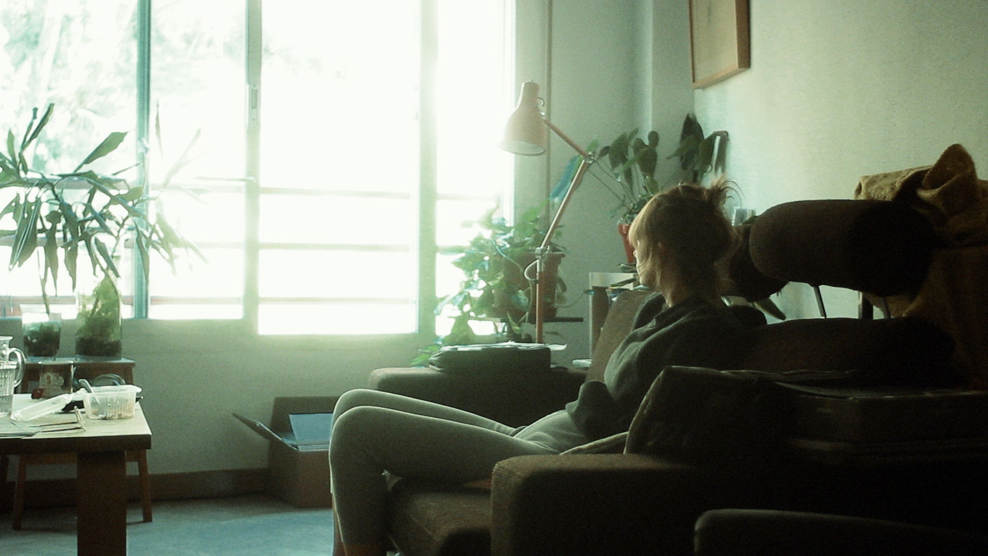 Backdrop for Solar Noise