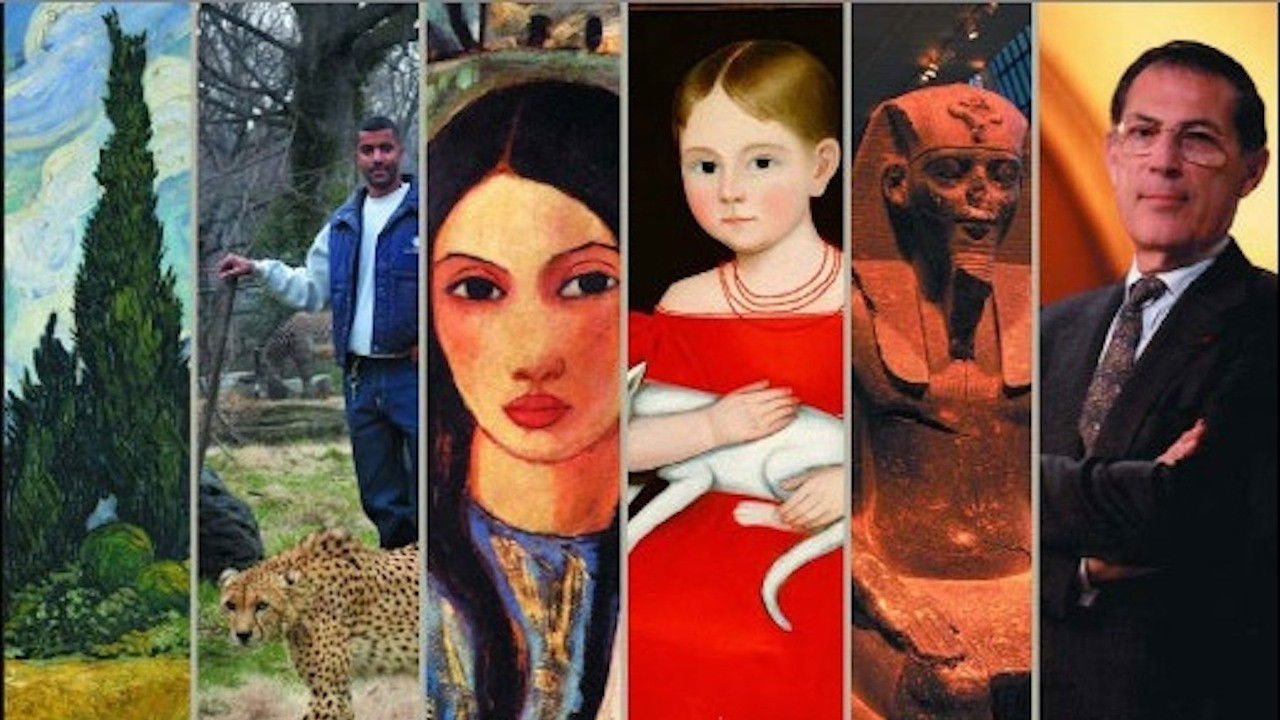 Backdrop for Great Museums