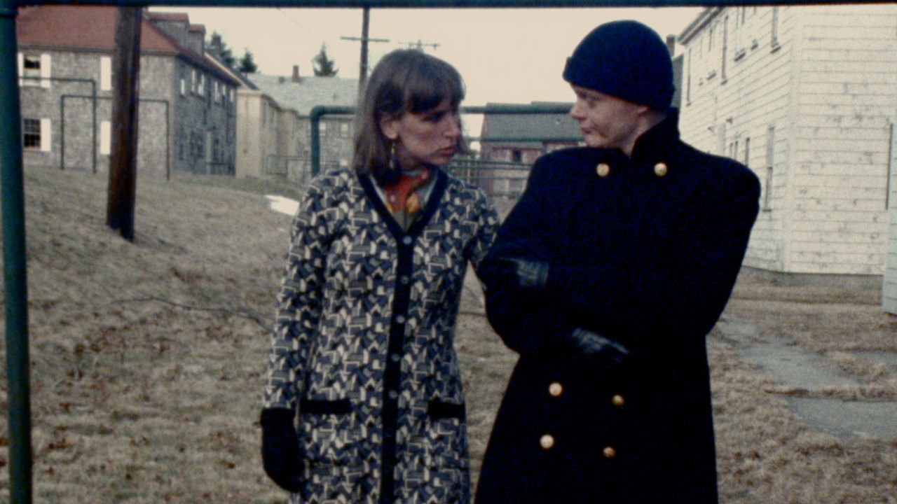 Backdrop for Natural History