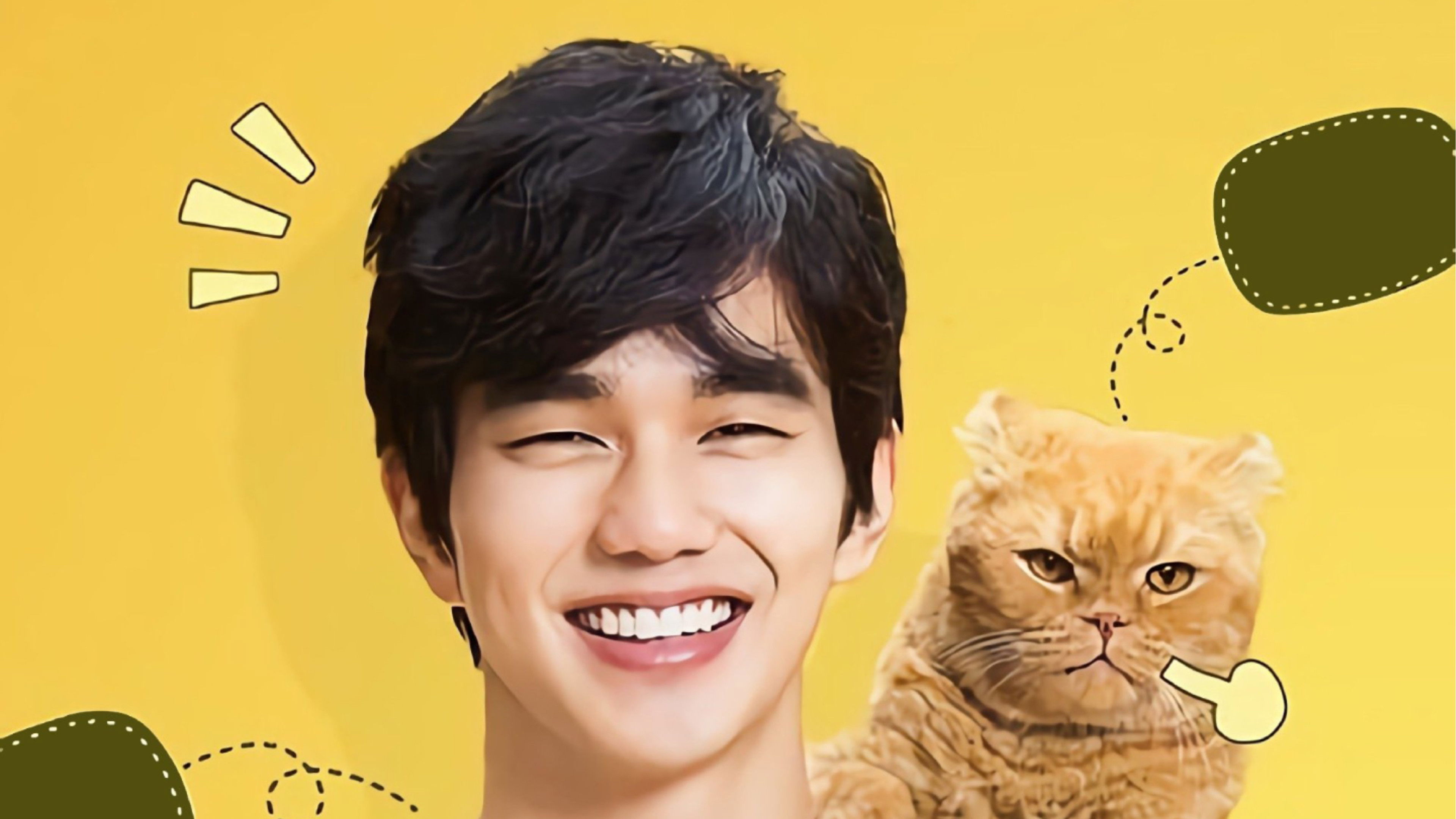 Backdrop for Imaginary Cat