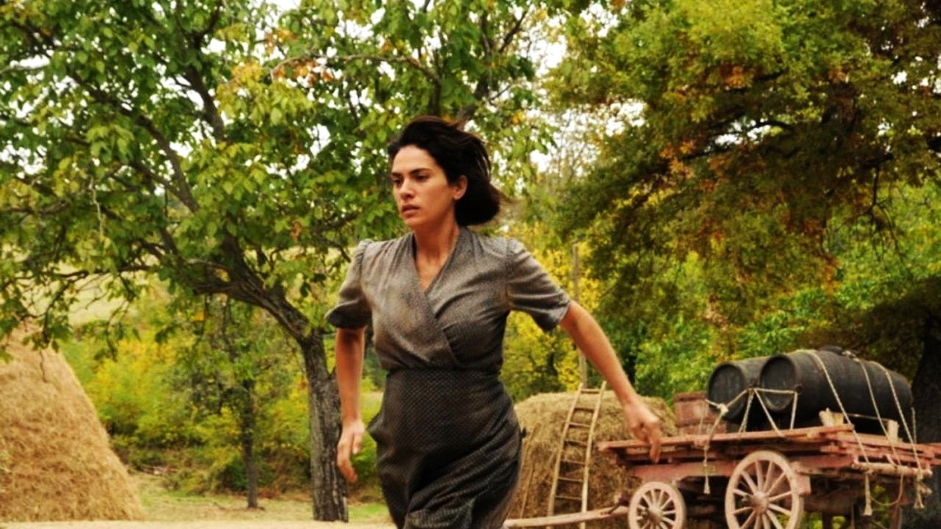 Backdrop for The Man Who Will Come