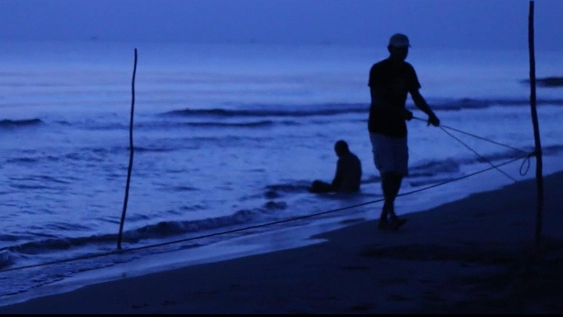 Backdrop for Mr. Turtle