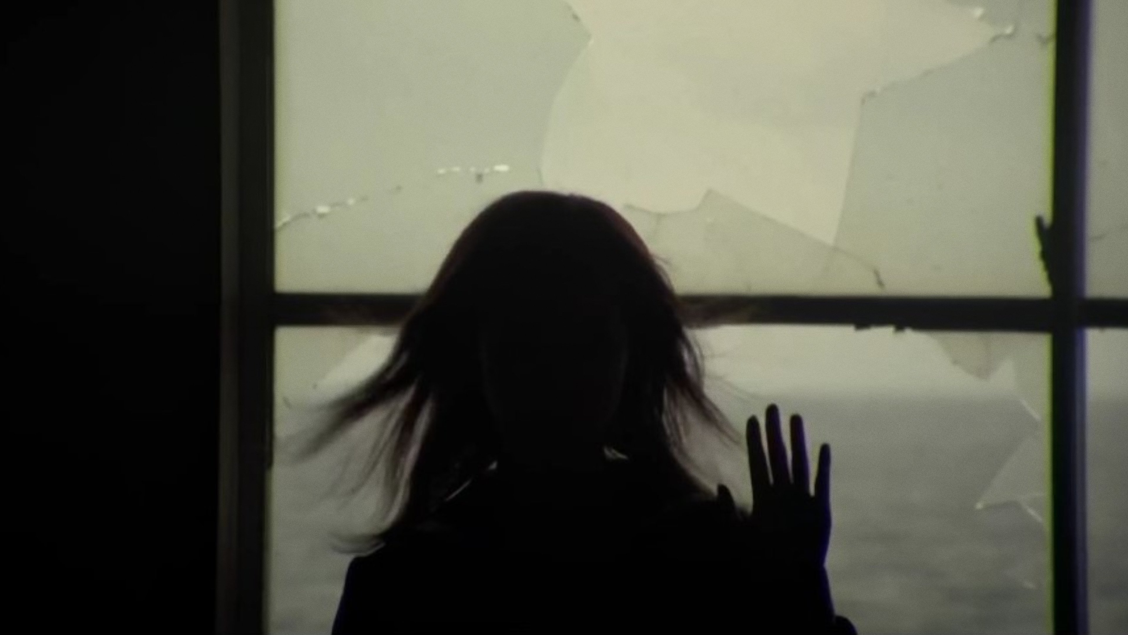 Backdrop for Noriko's Dinner Table