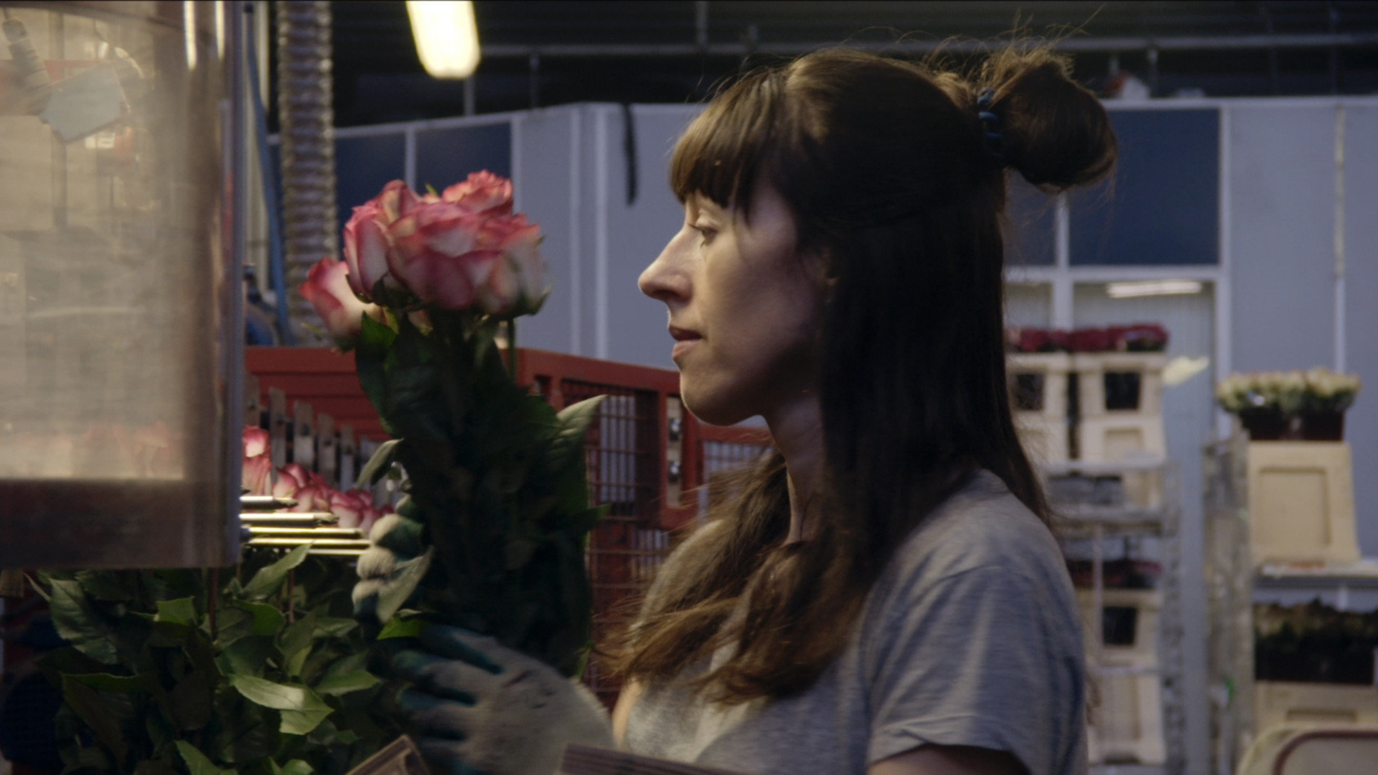 Backdrop for A Flower in the Mouth