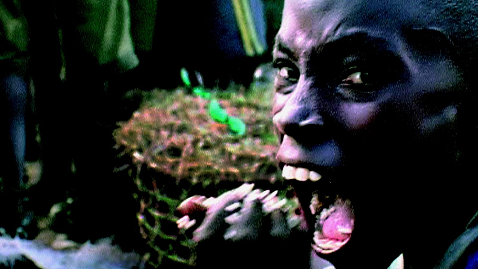 Backdrop for Darwin's Nightmare