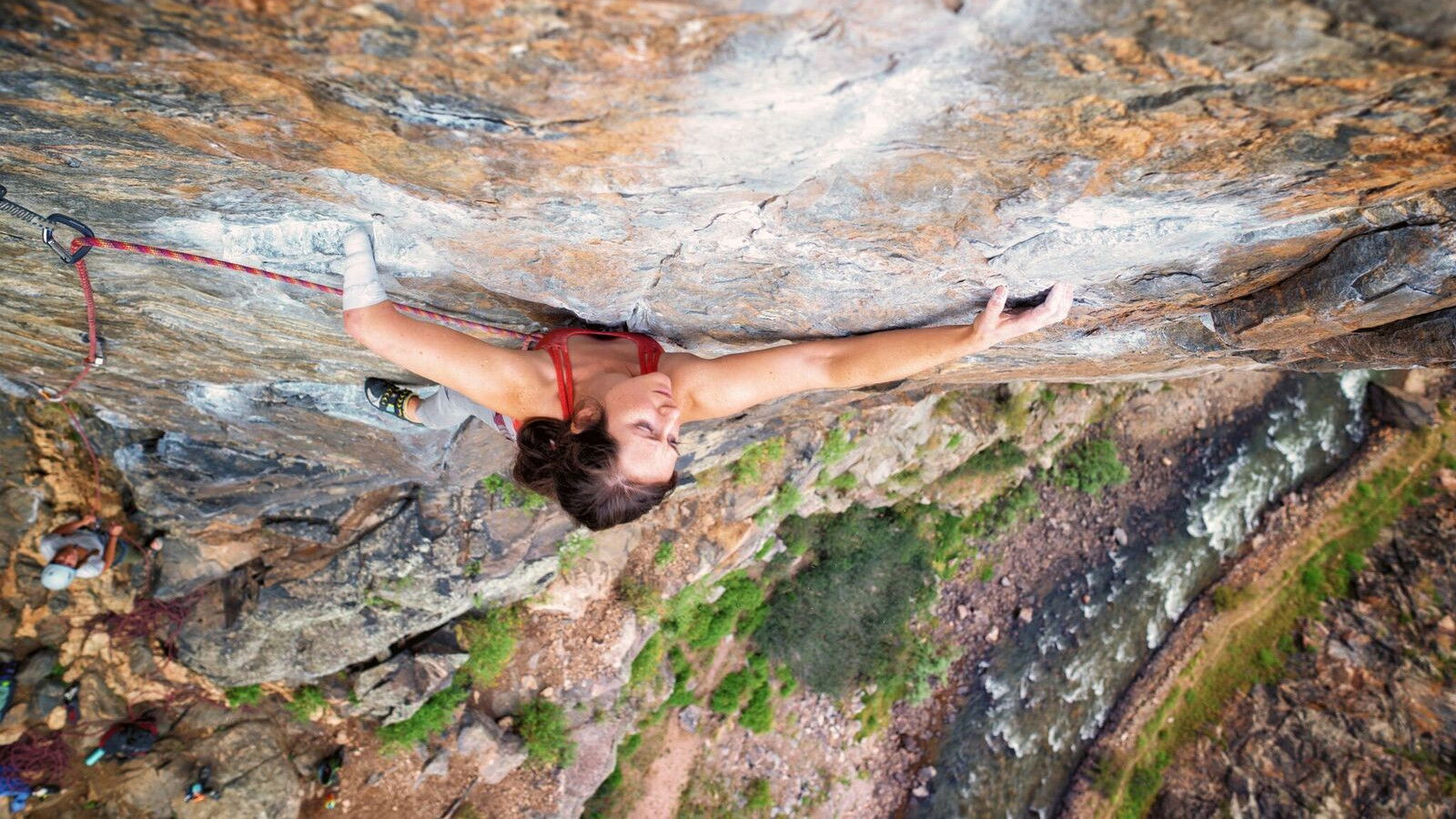 Backdrop for Stumped