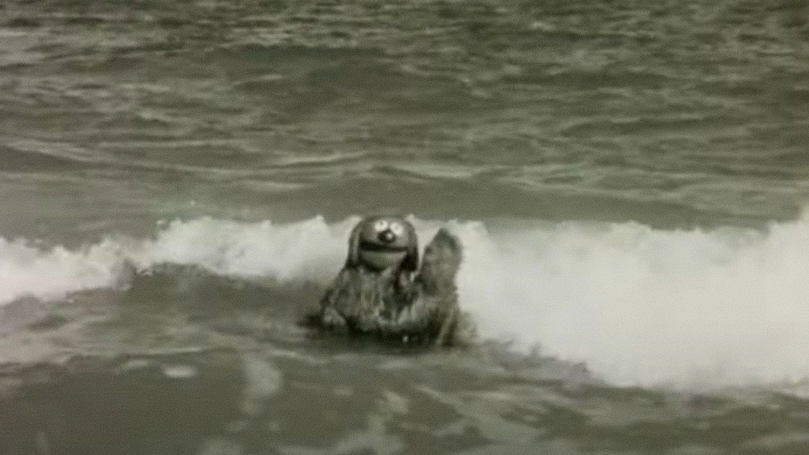 Backdrop for Rowlf the Salesman