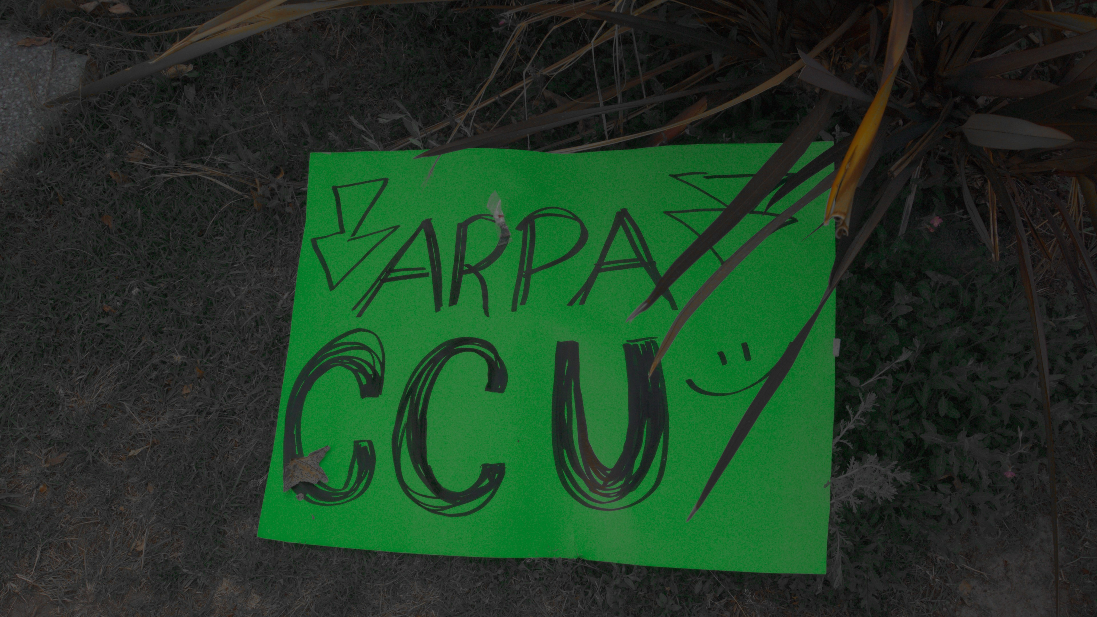 Backdrop for Una Carta al ARPARO