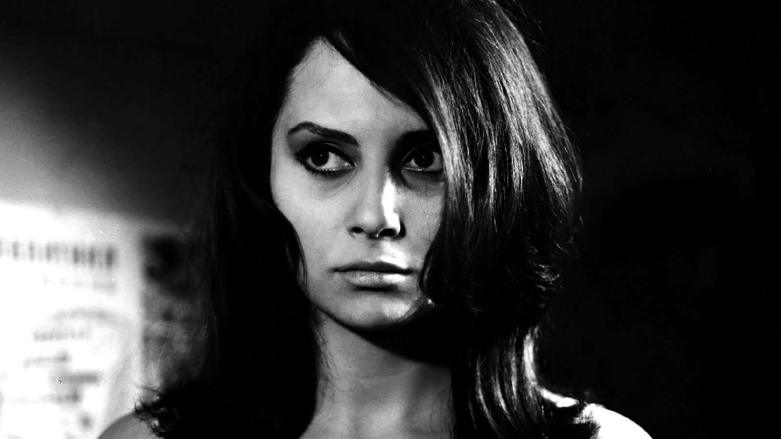 Backdrop for The Feverish Years