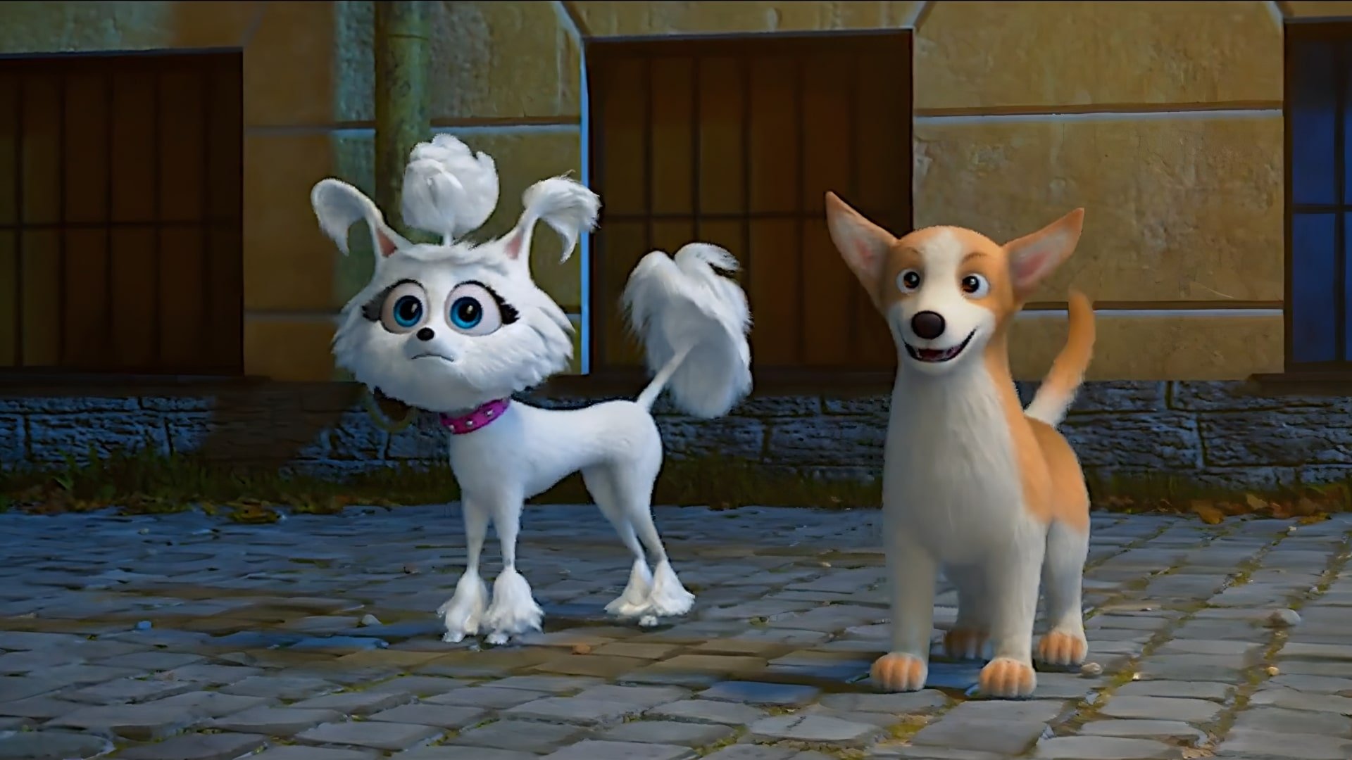 Backdrop for Dogs at the Opera