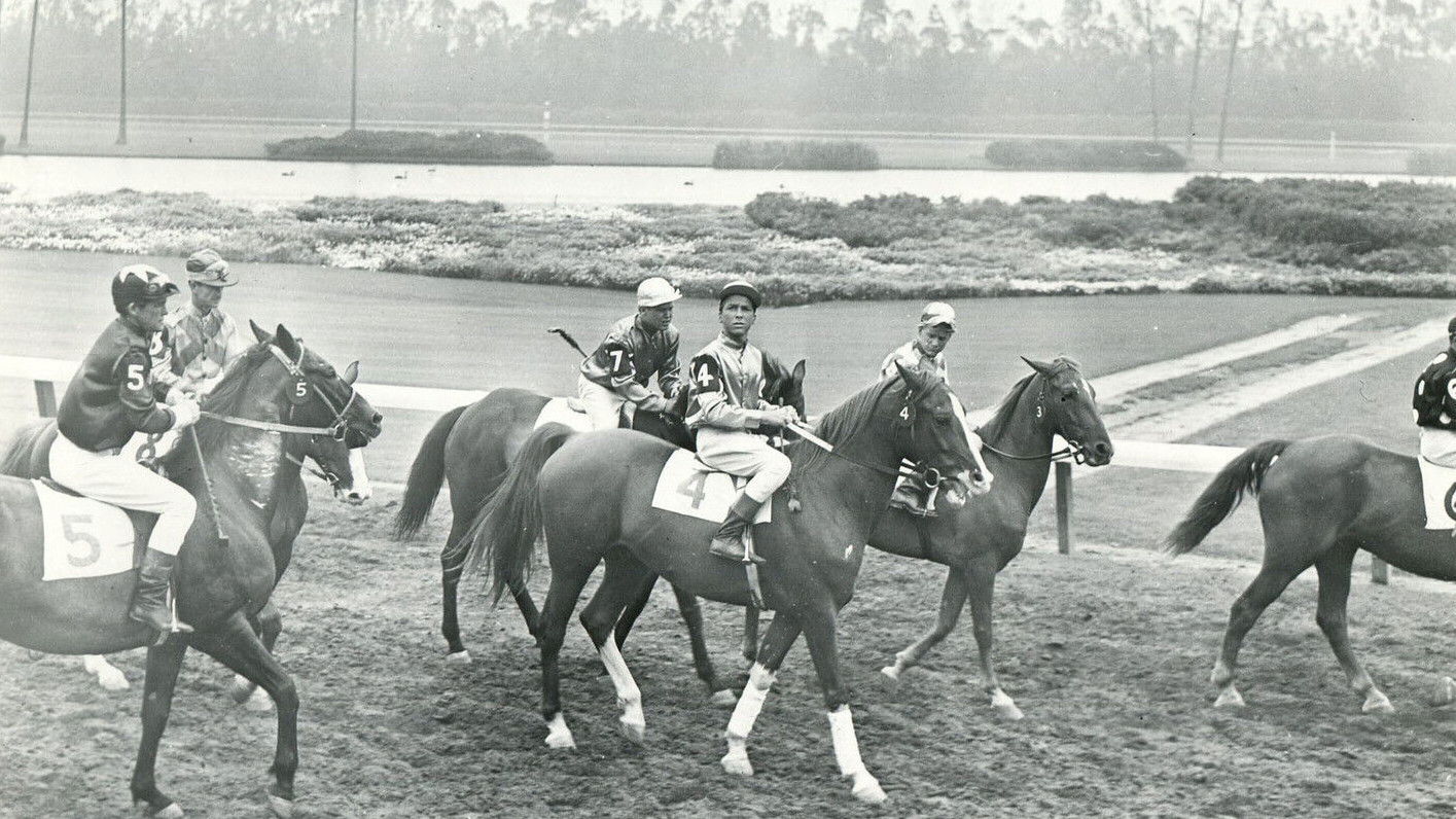 Backdrop for Pride of the Blue Grass