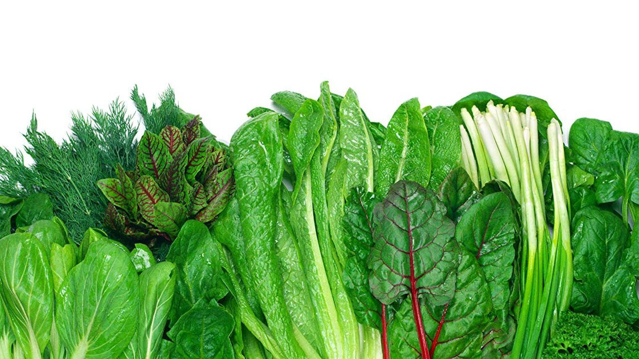 Backdrop for Foods That Cure Disease