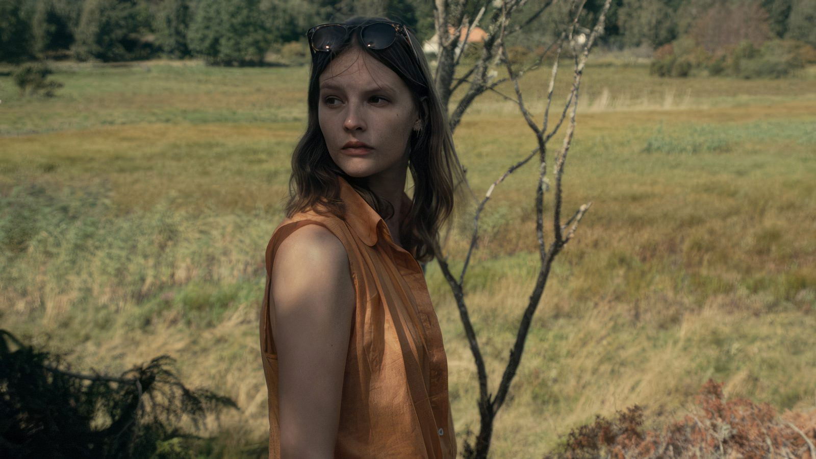 Backdrop for Summer House