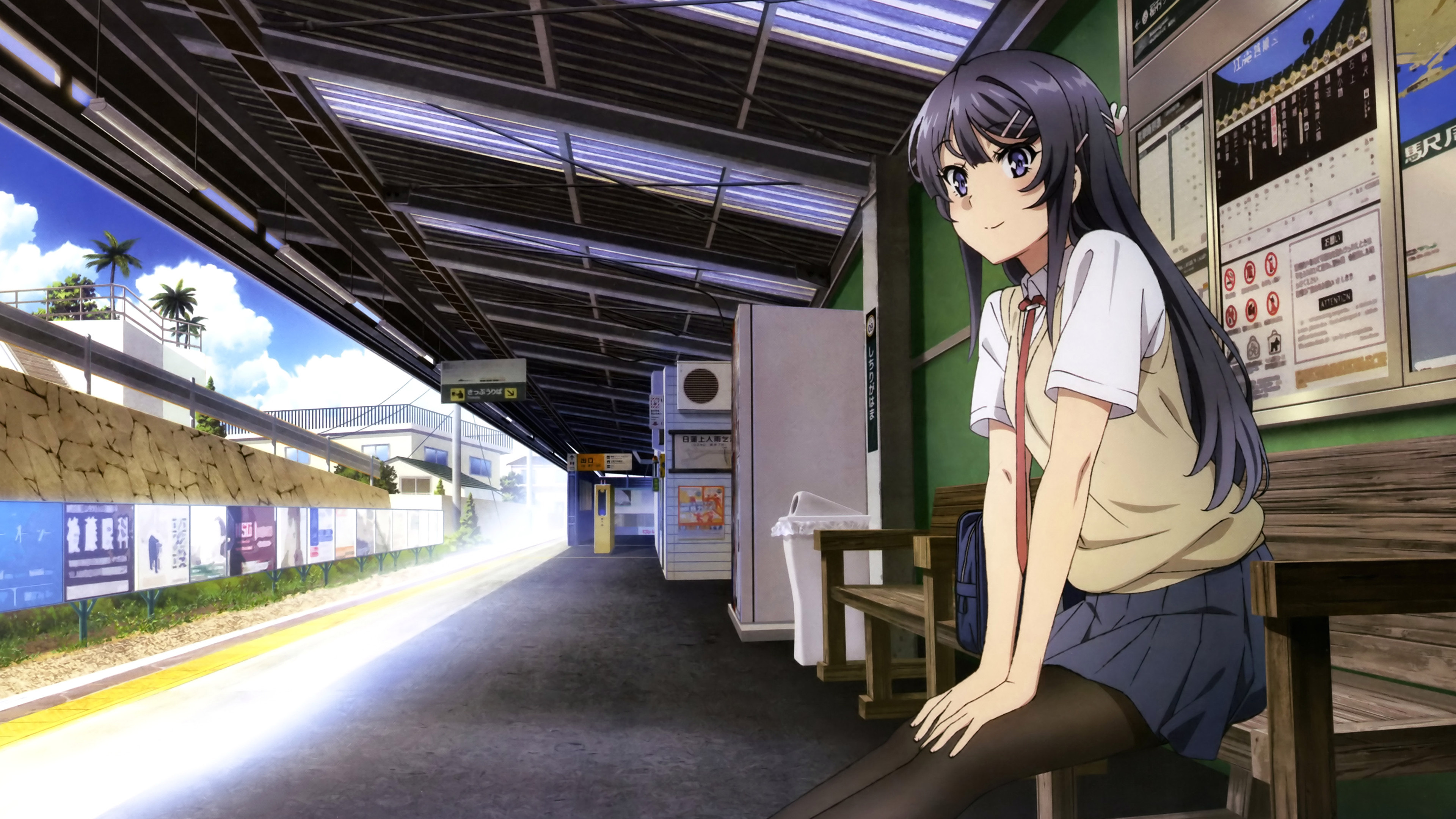Backdrop for Rascal Does Not Dream of Bunny Girl Senpai