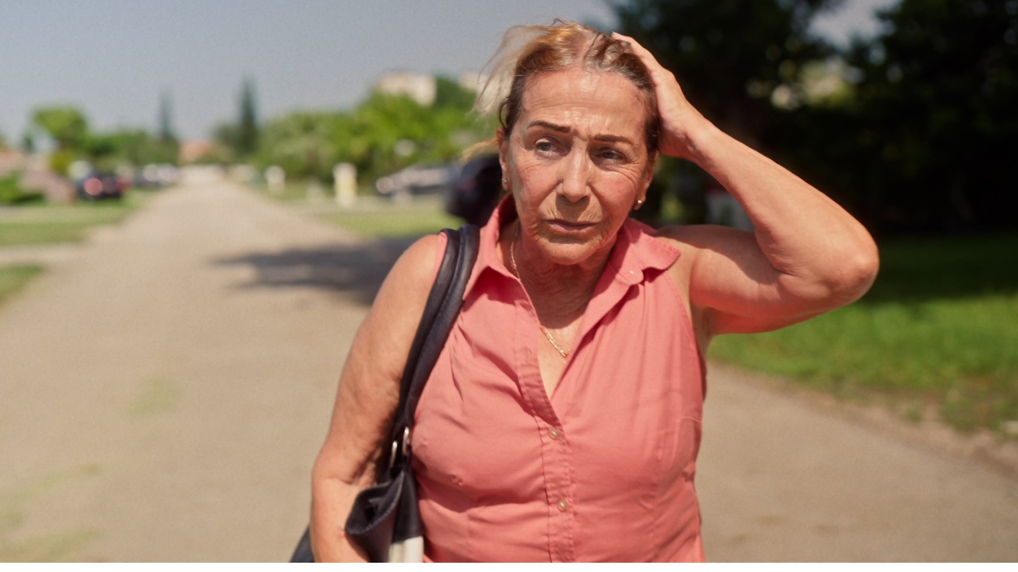 Backdrop for Ana and the Distance