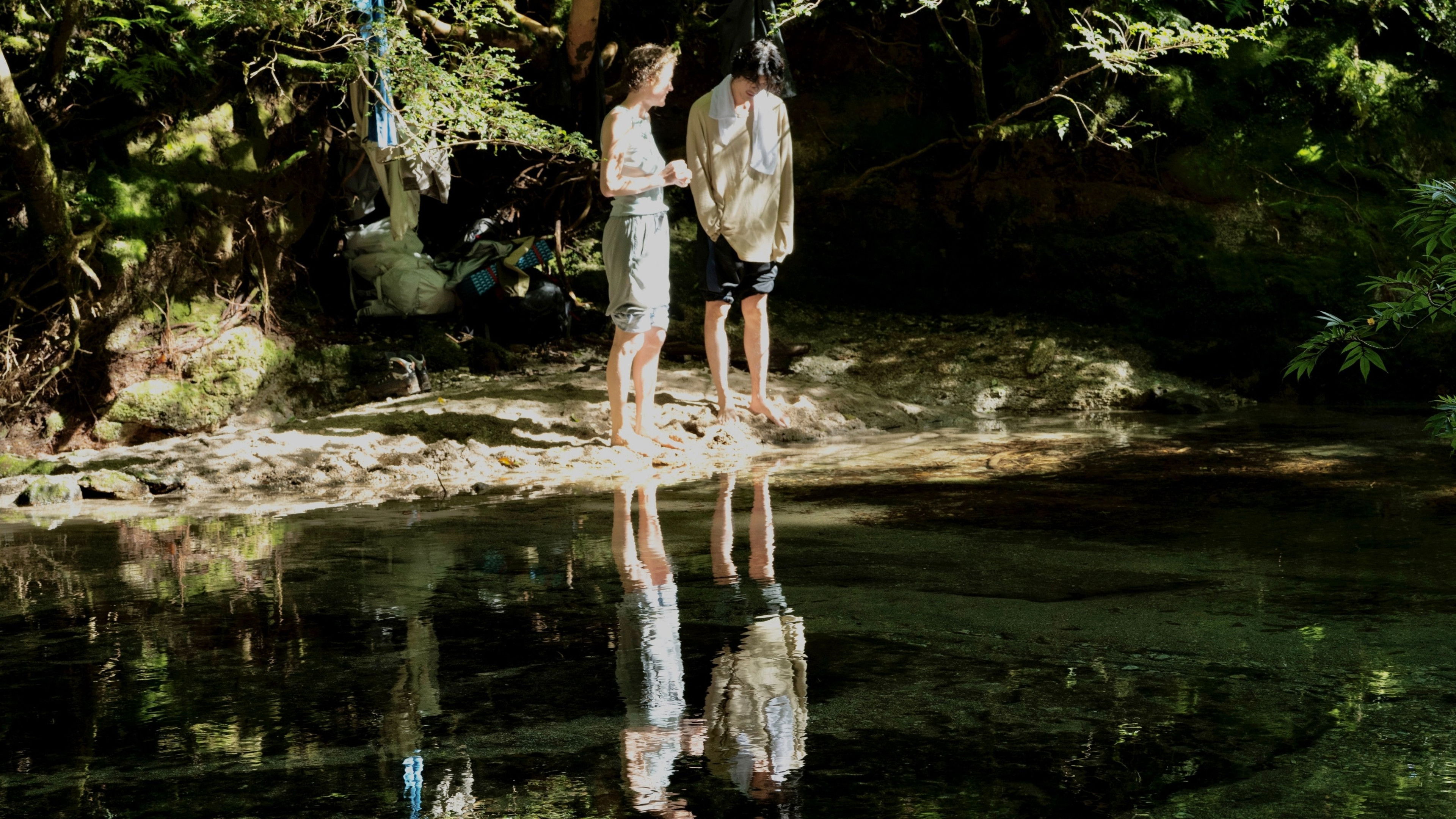 Backdrop for Yakushima's Illusion