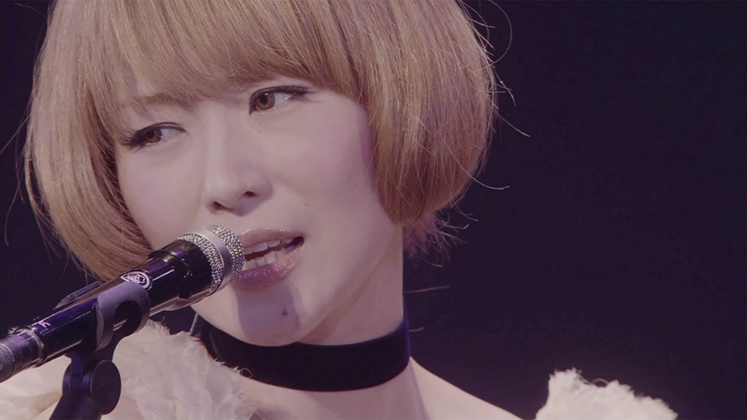 Backdrop for The Party Convention: 2013 Kamiyama Event