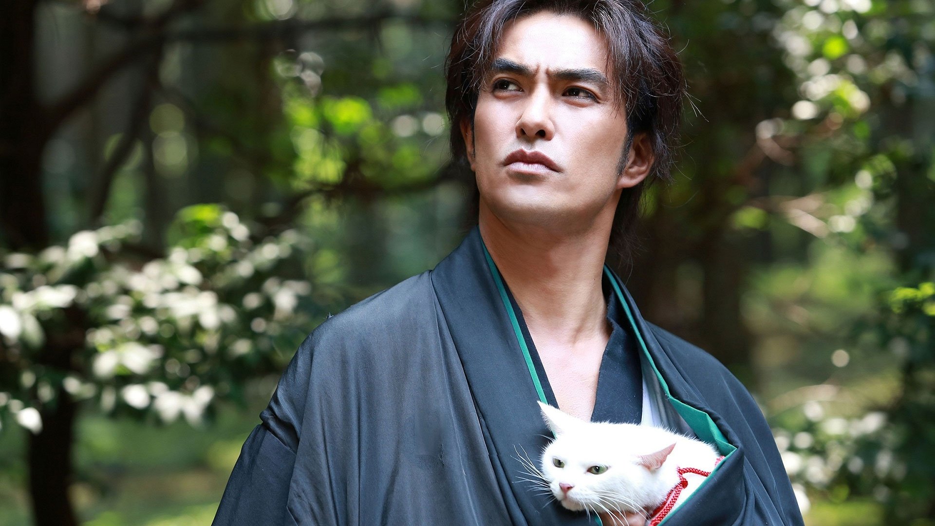 Backdrop for Samurai Cat: The Movie