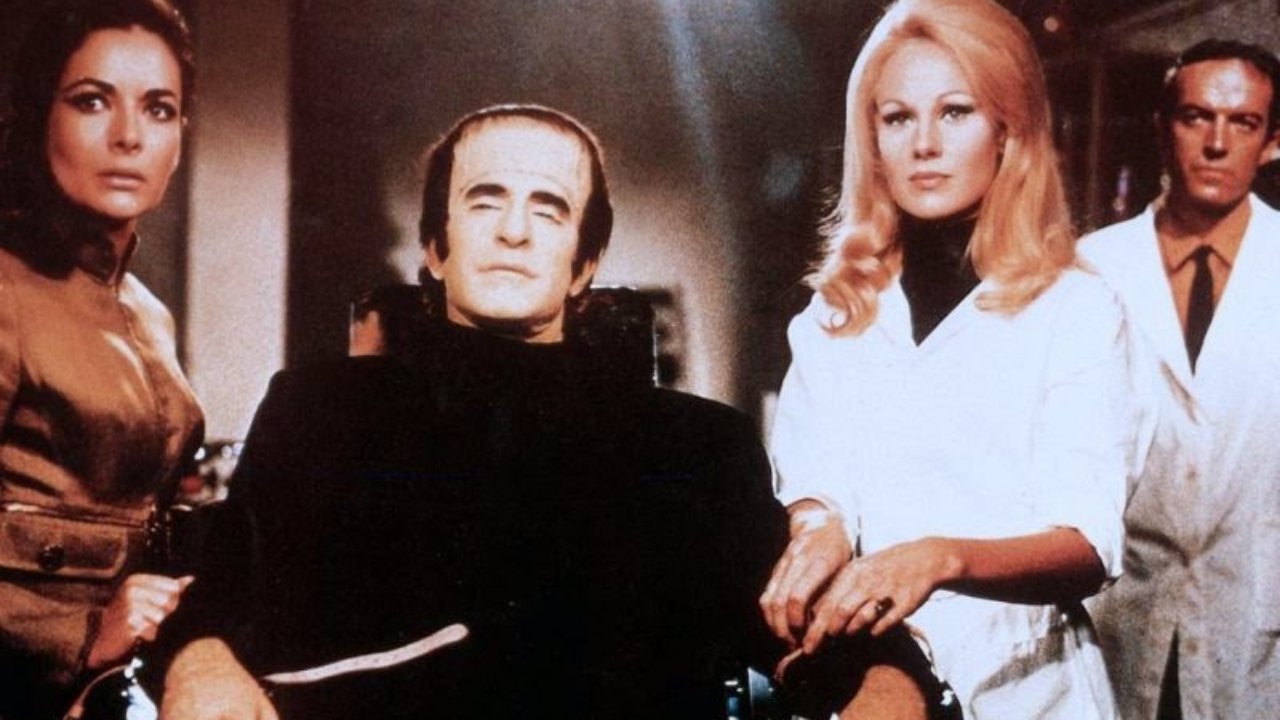 Backdrop for Assignment Terror