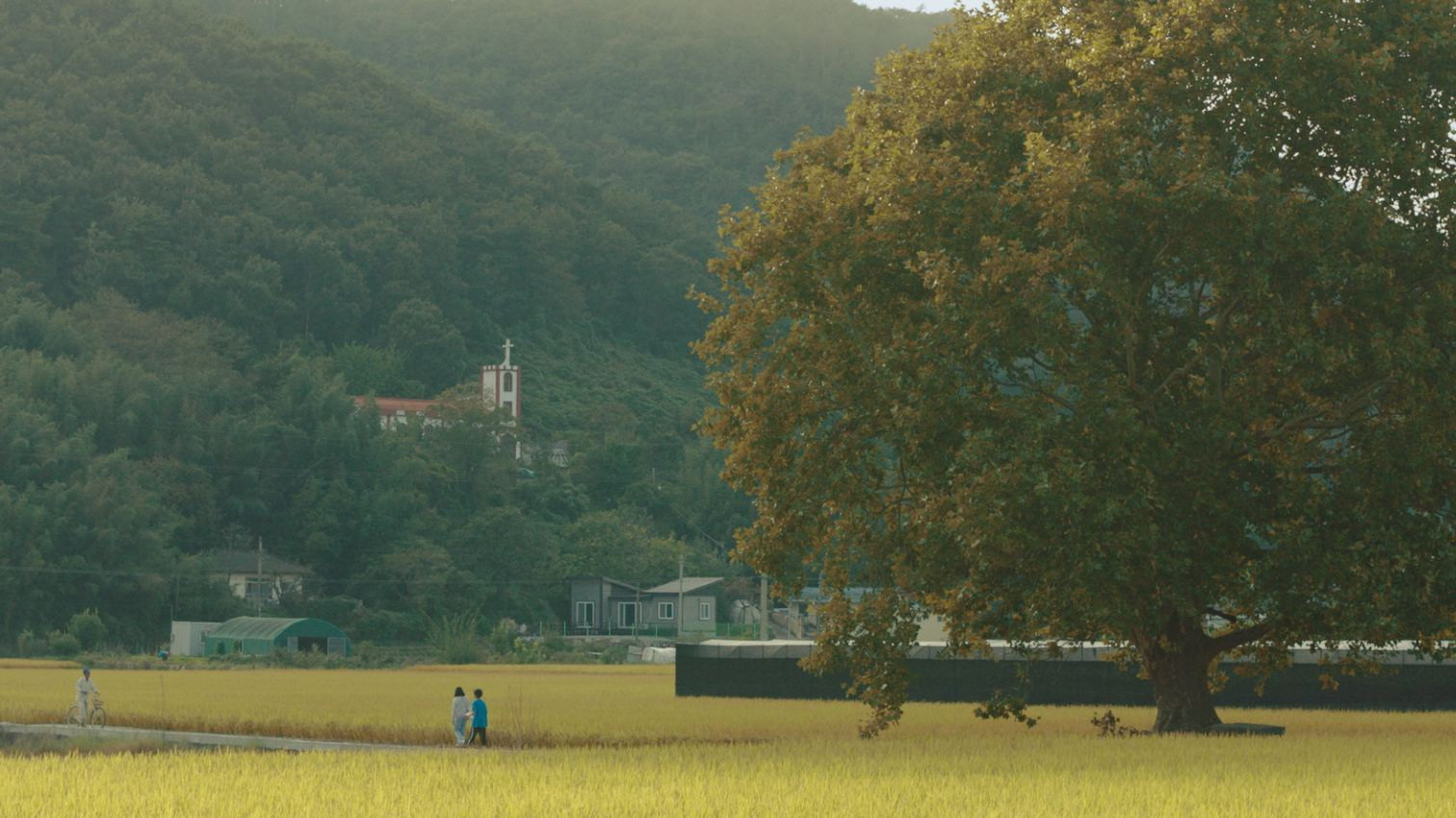 Backdrop for The Autumn Poem