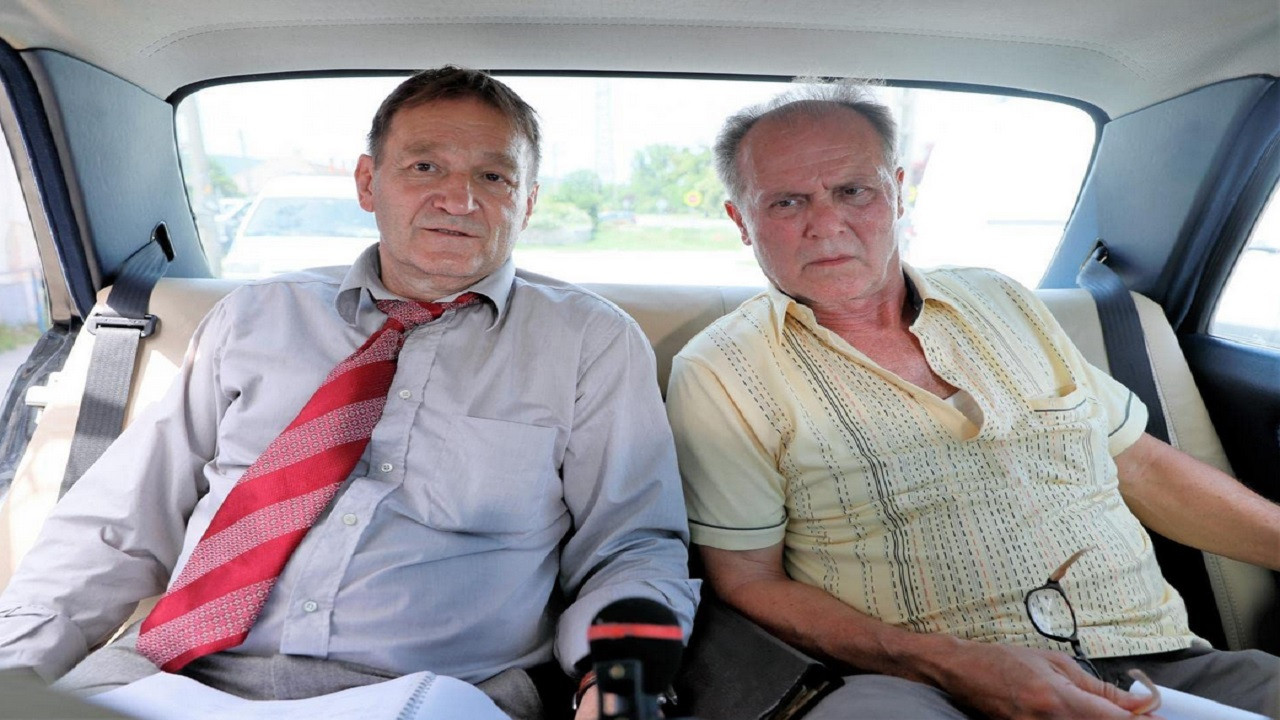 Backdrop for Rododendron