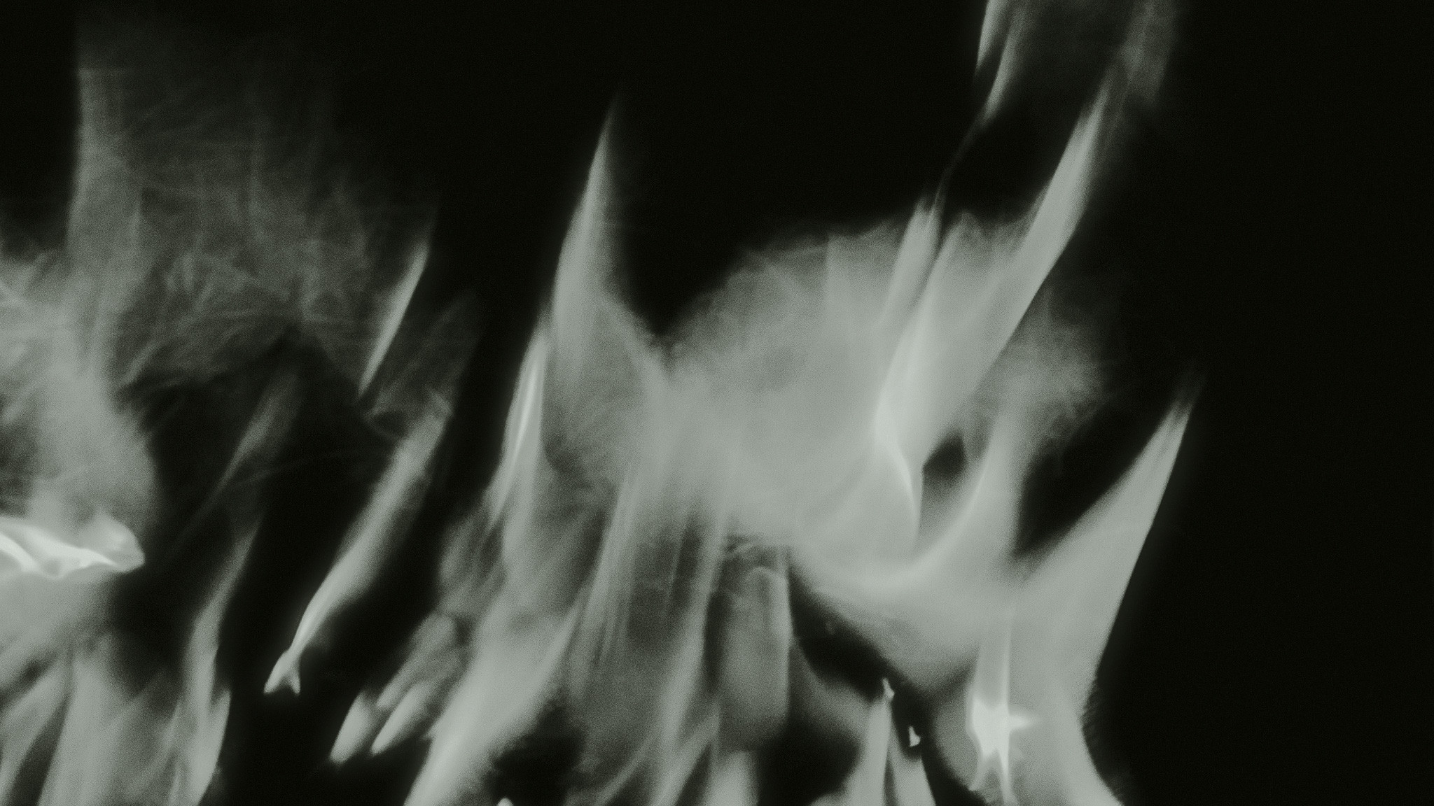 Backdrop for Her Wings