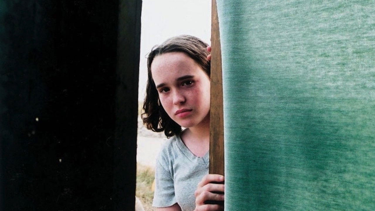 Backdrop for The Wet Season