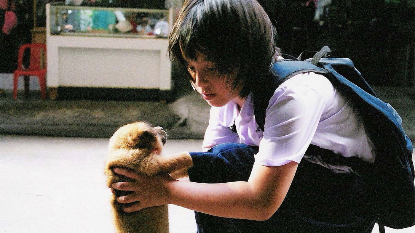 Backdrop for A Bite of Love