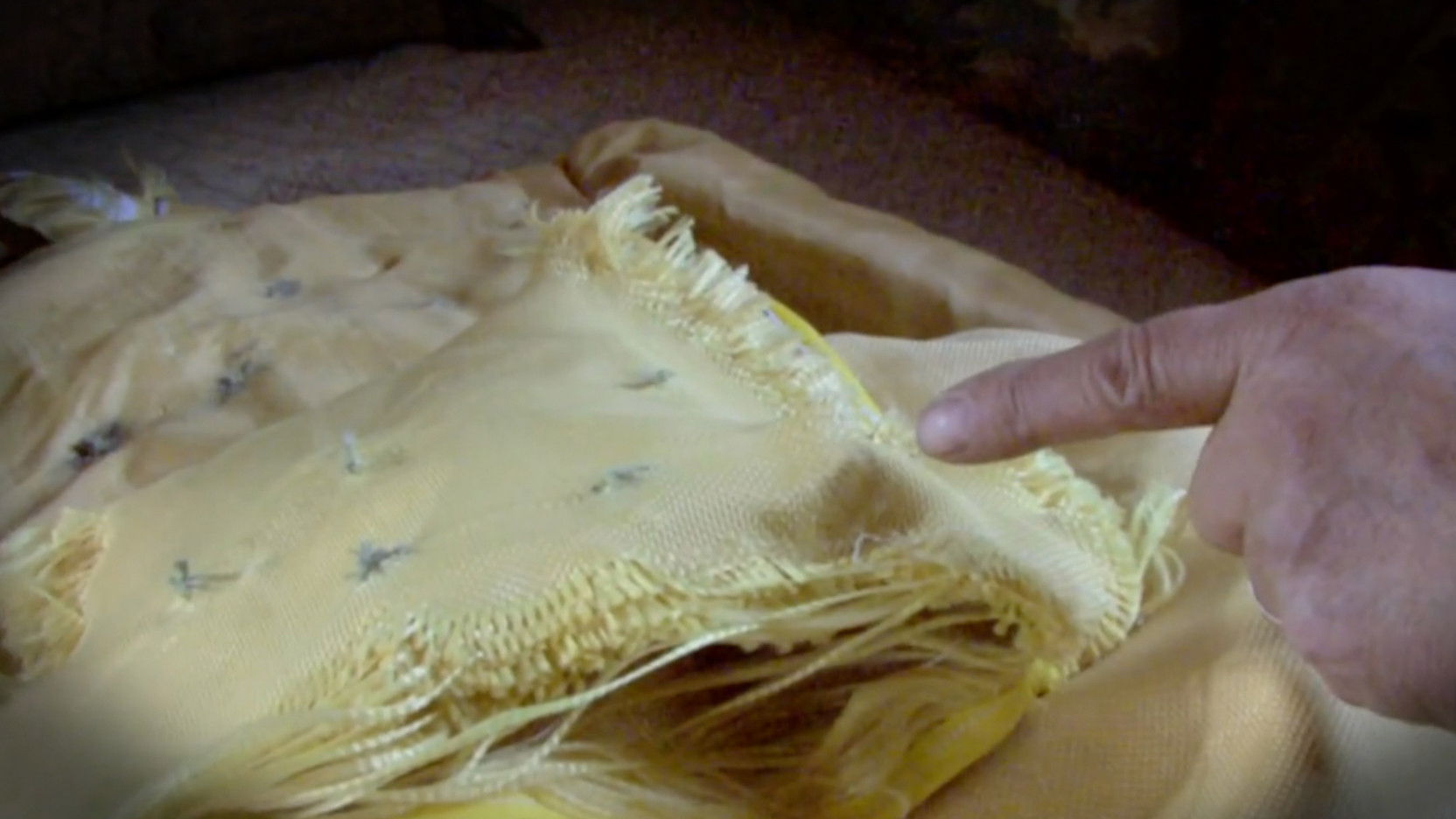 Backdrop for Test Shoot