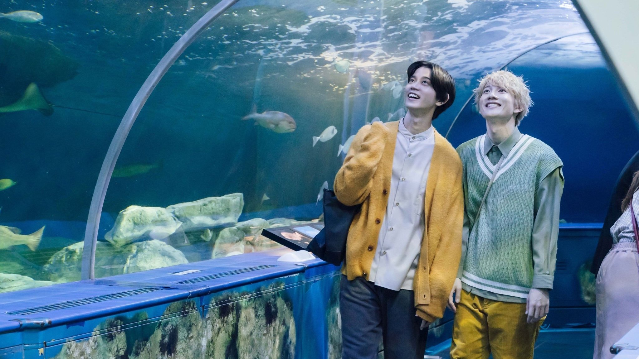 Backdrop for Let's Eat Together Aki and Haru: More Please!