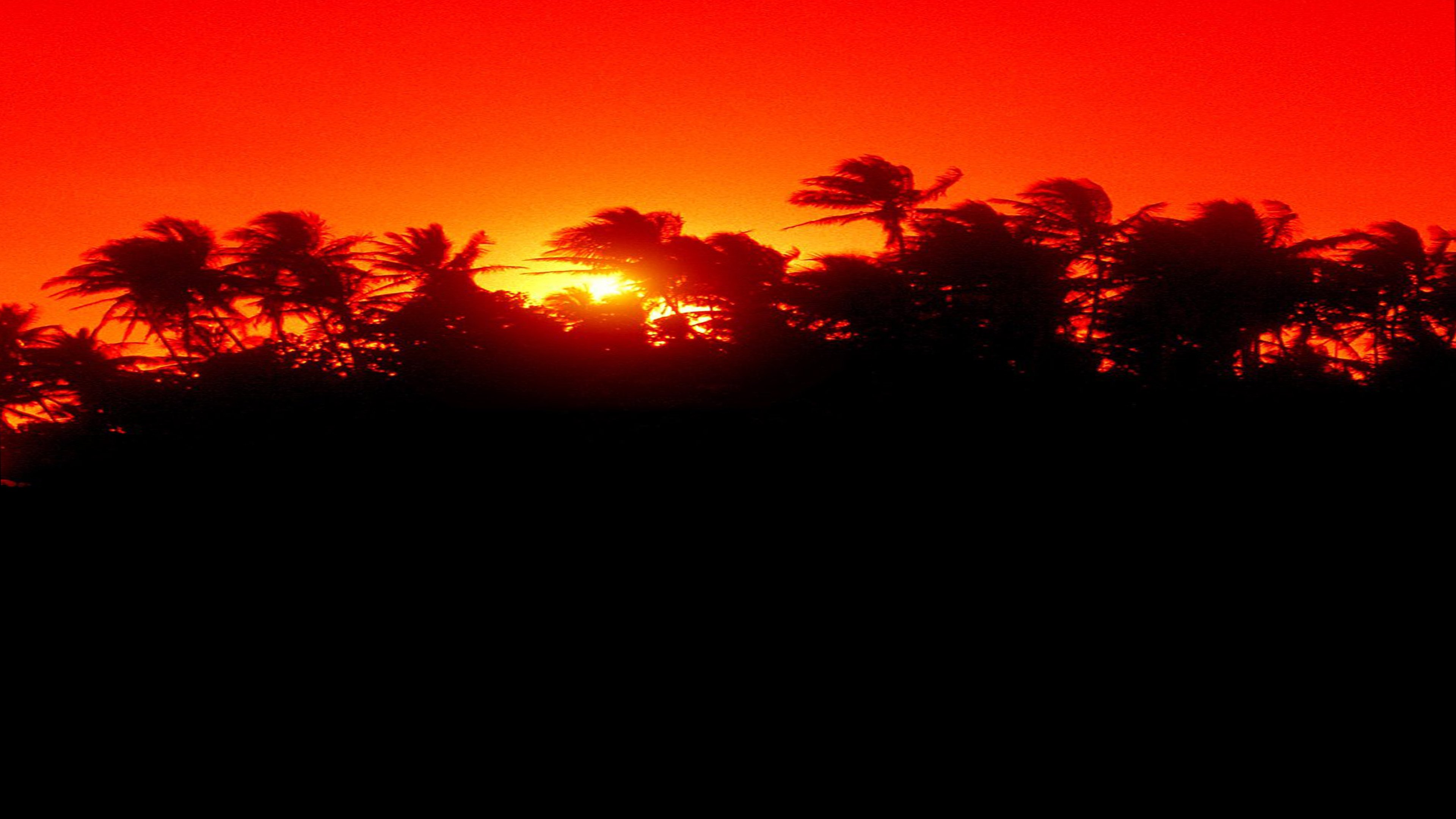 Backdrop for The Making of 'Jurassic Park'