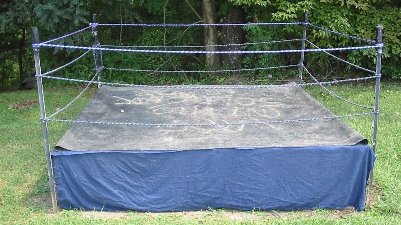 Backdrop for Backyard Dogs