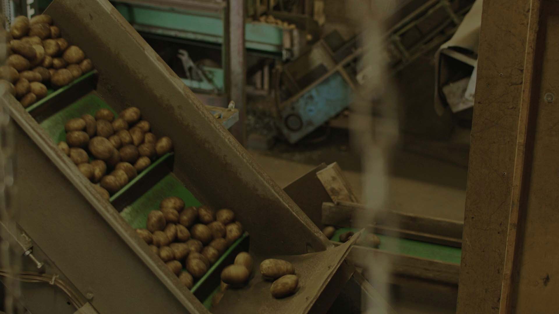 Backdrop for how long will you stay?