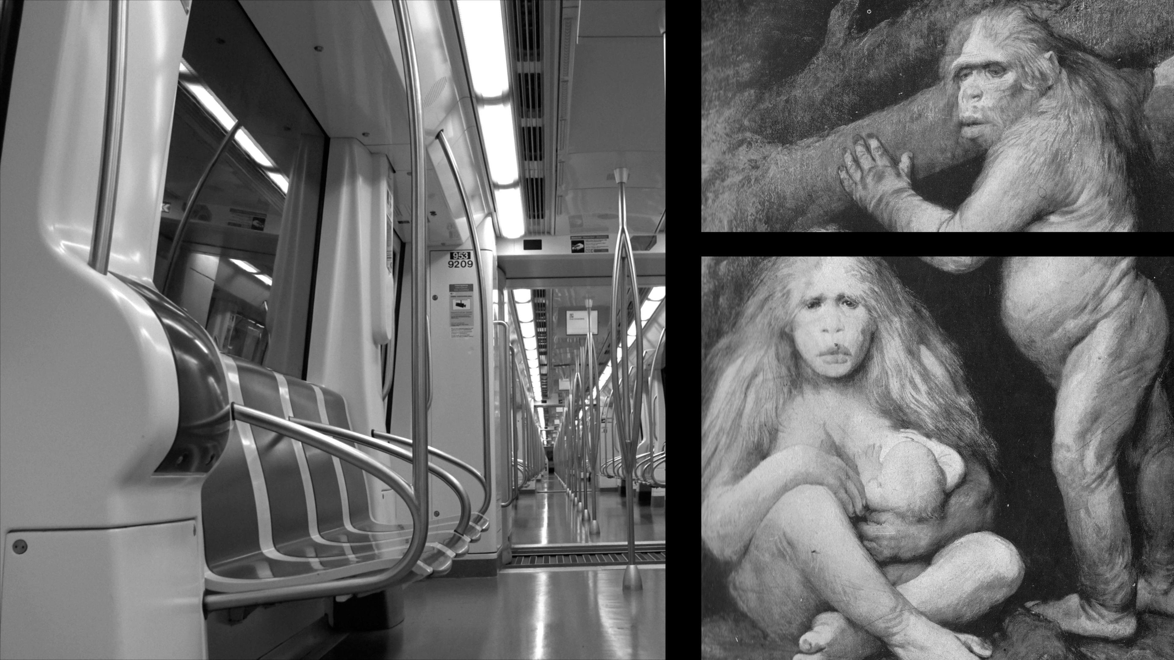 Backdrop for Biological Loneliness