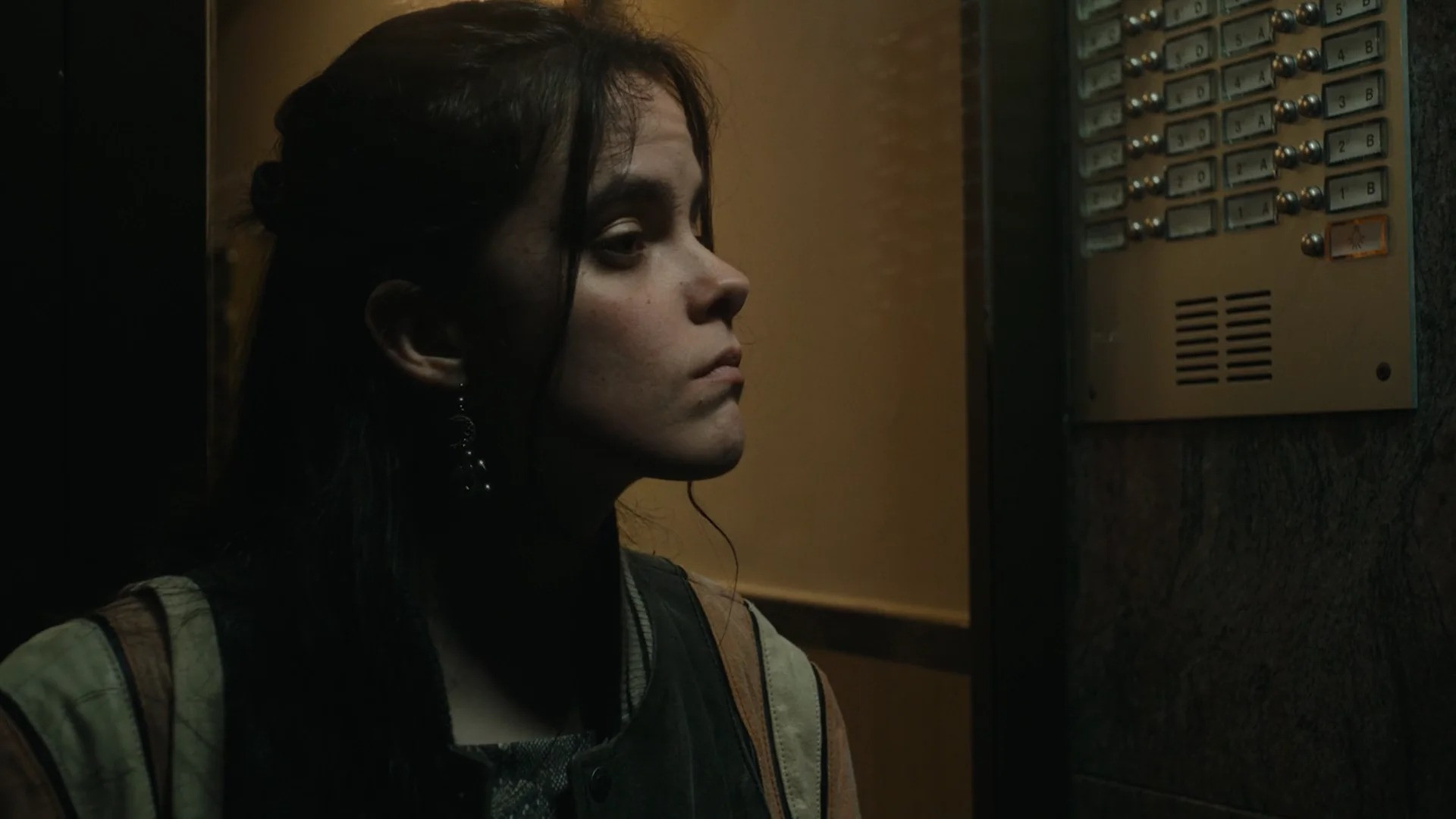 Backdrop for Here Lives Love