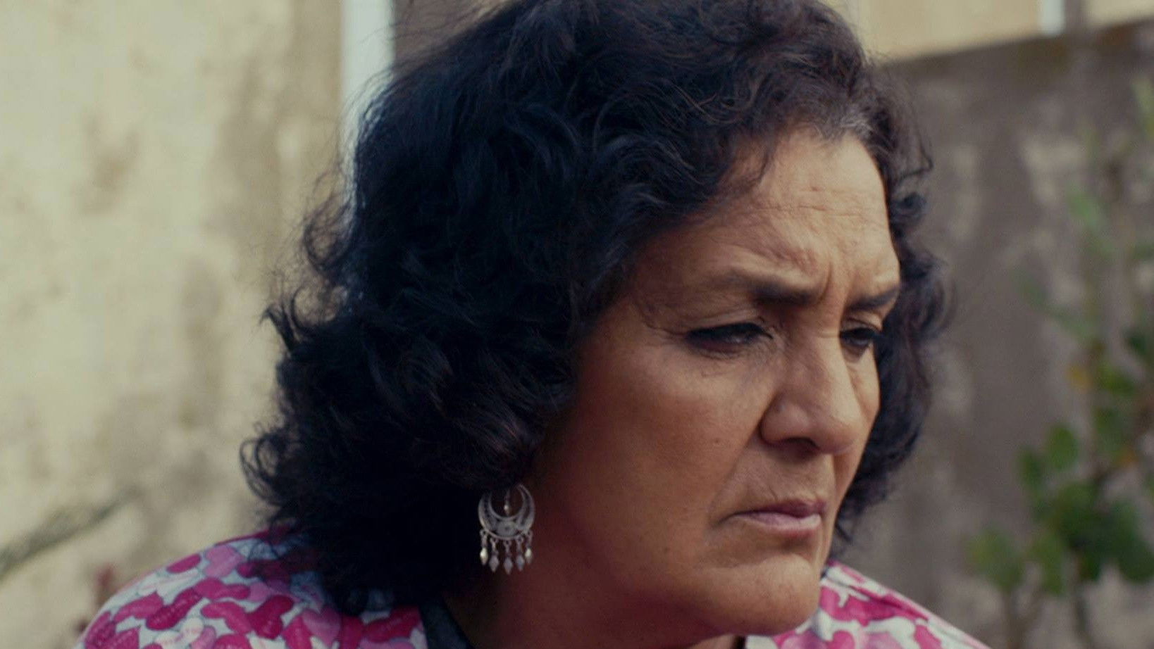 Backdrop for The Pilgrims