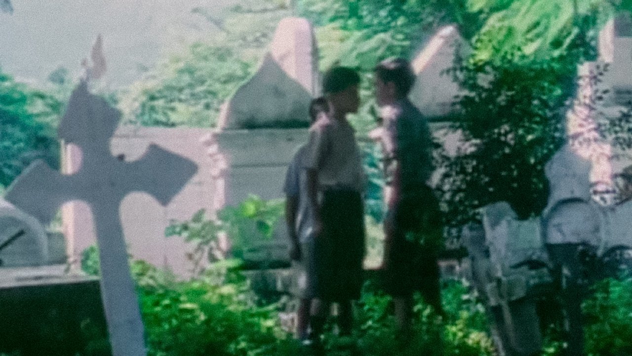 Backdrop for The Invisible Children