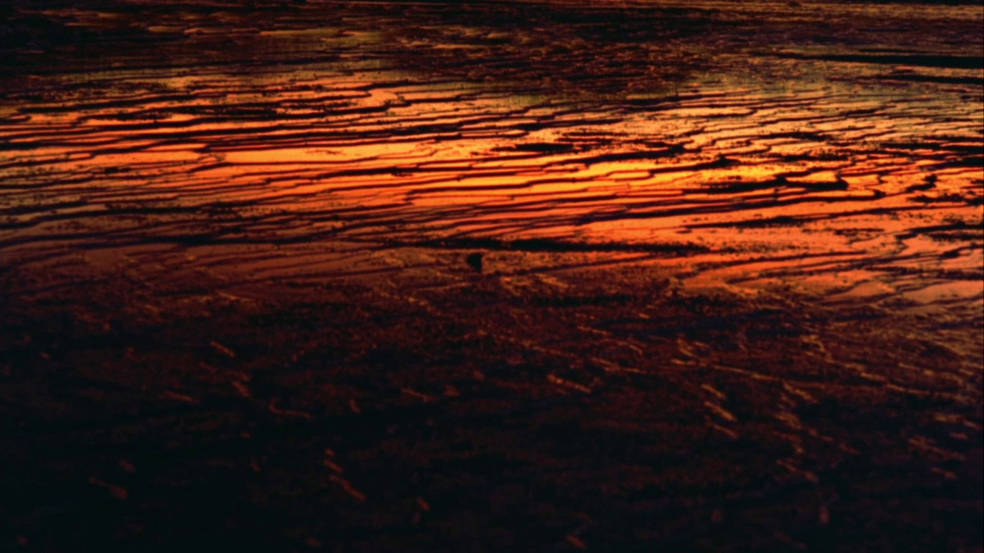 Backdrop for Fascinating Nature