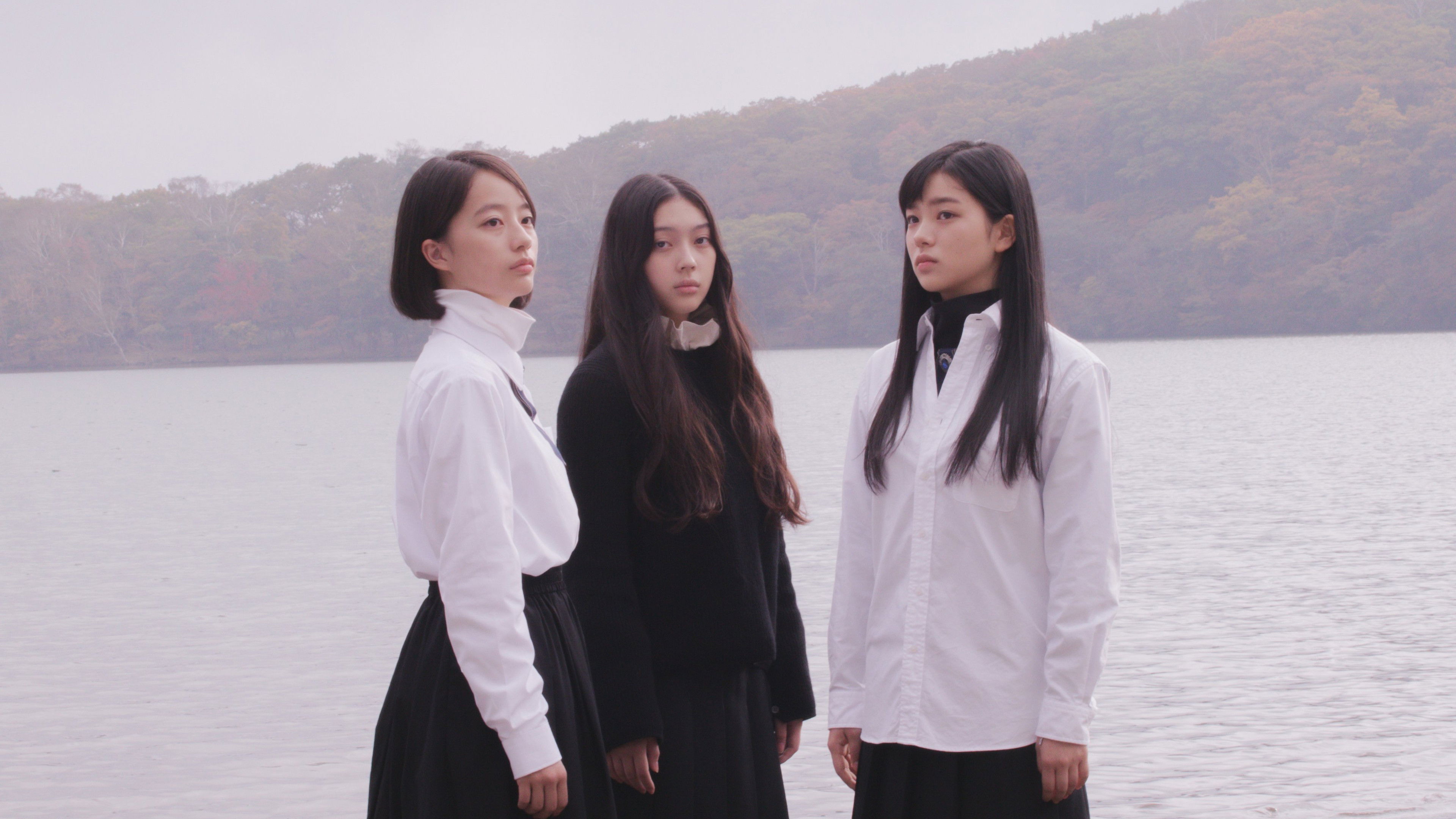 Backdrop for White Flowers and Fruits