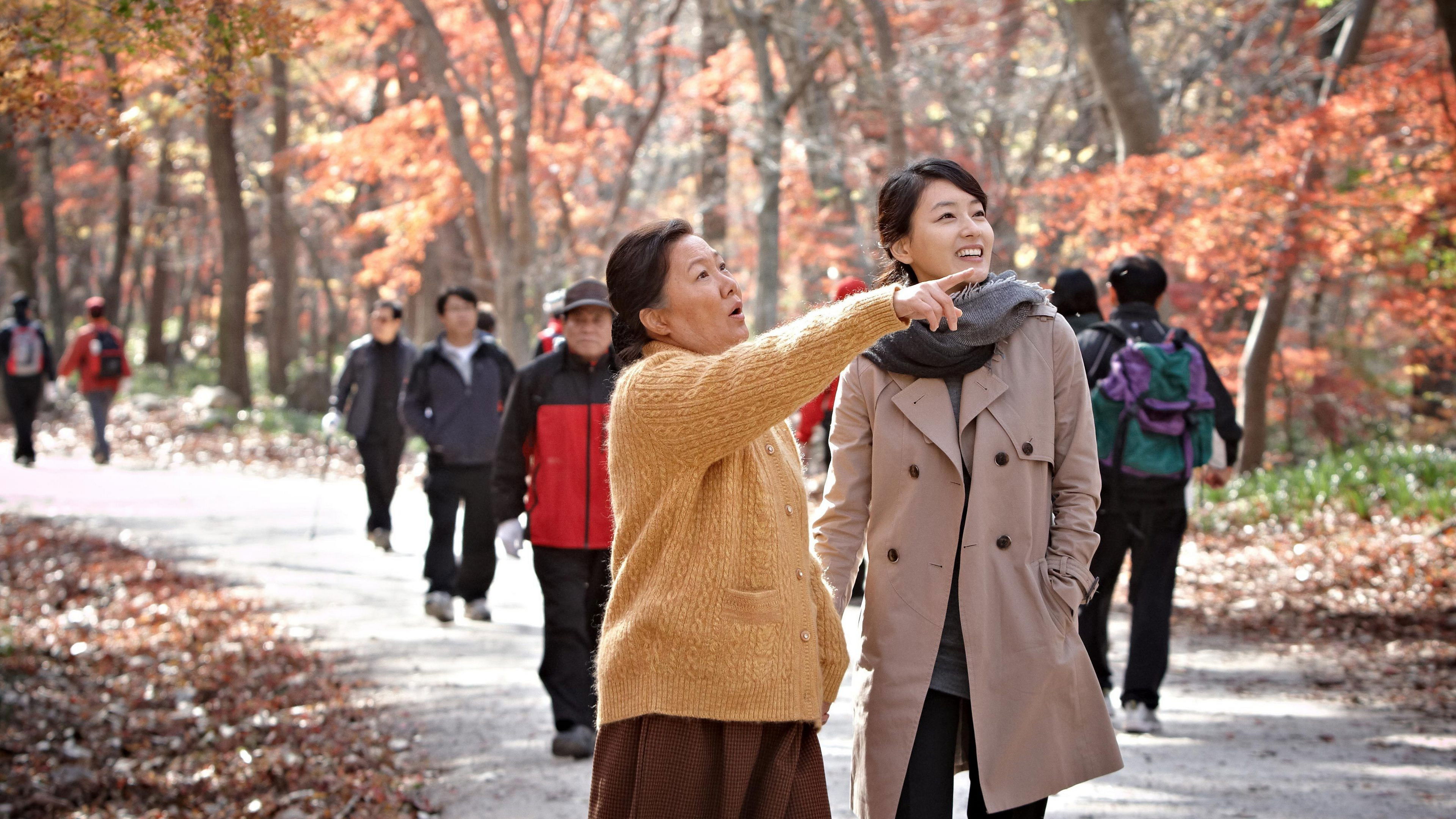 Backdrop for A Long Visit