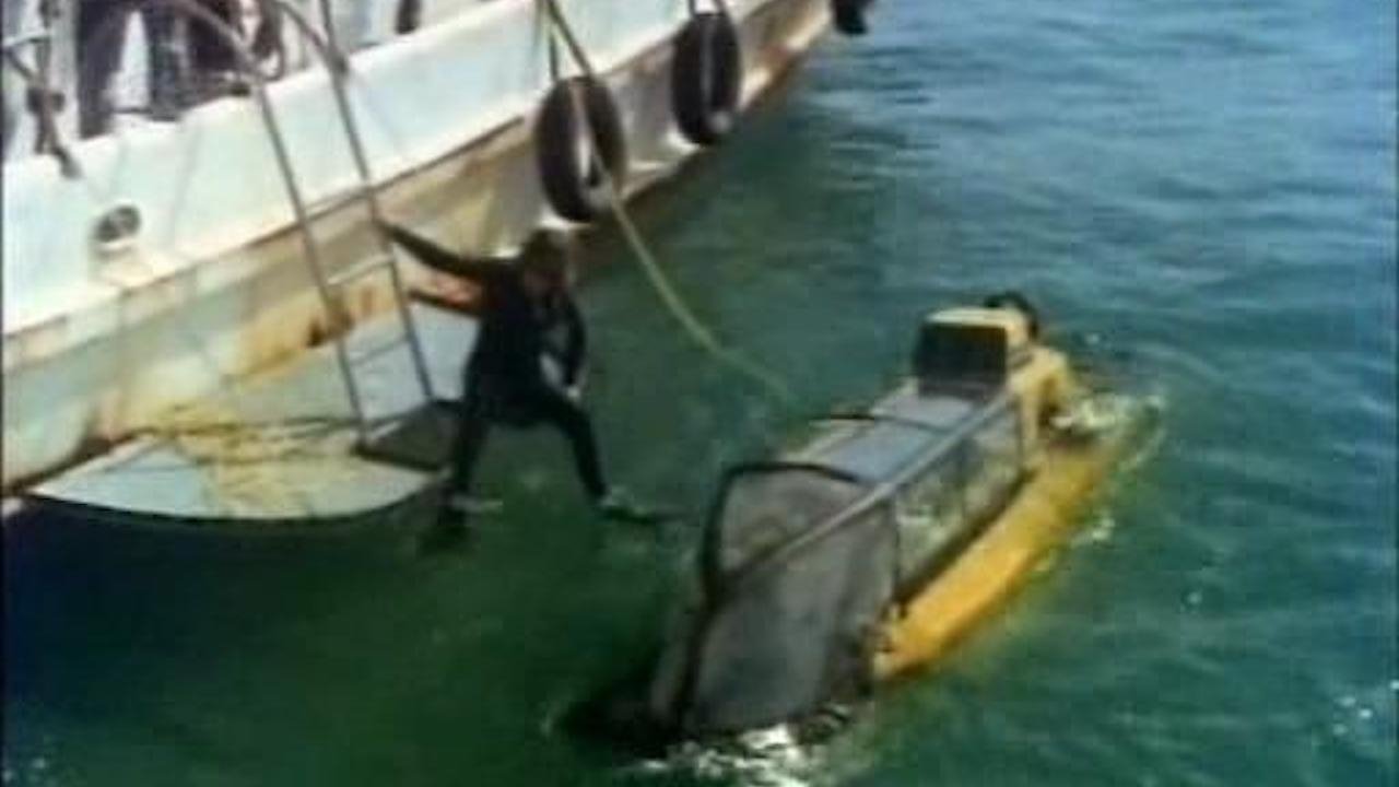 Backdrop for Hunters of the Reef